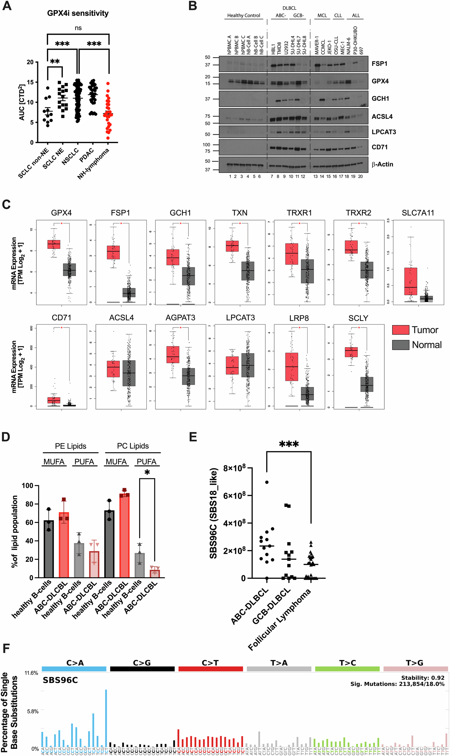 Redox destabilization by ibrutinib promotes ferroptosis in diffuse large B-cell lymphoma (DLBCL)
