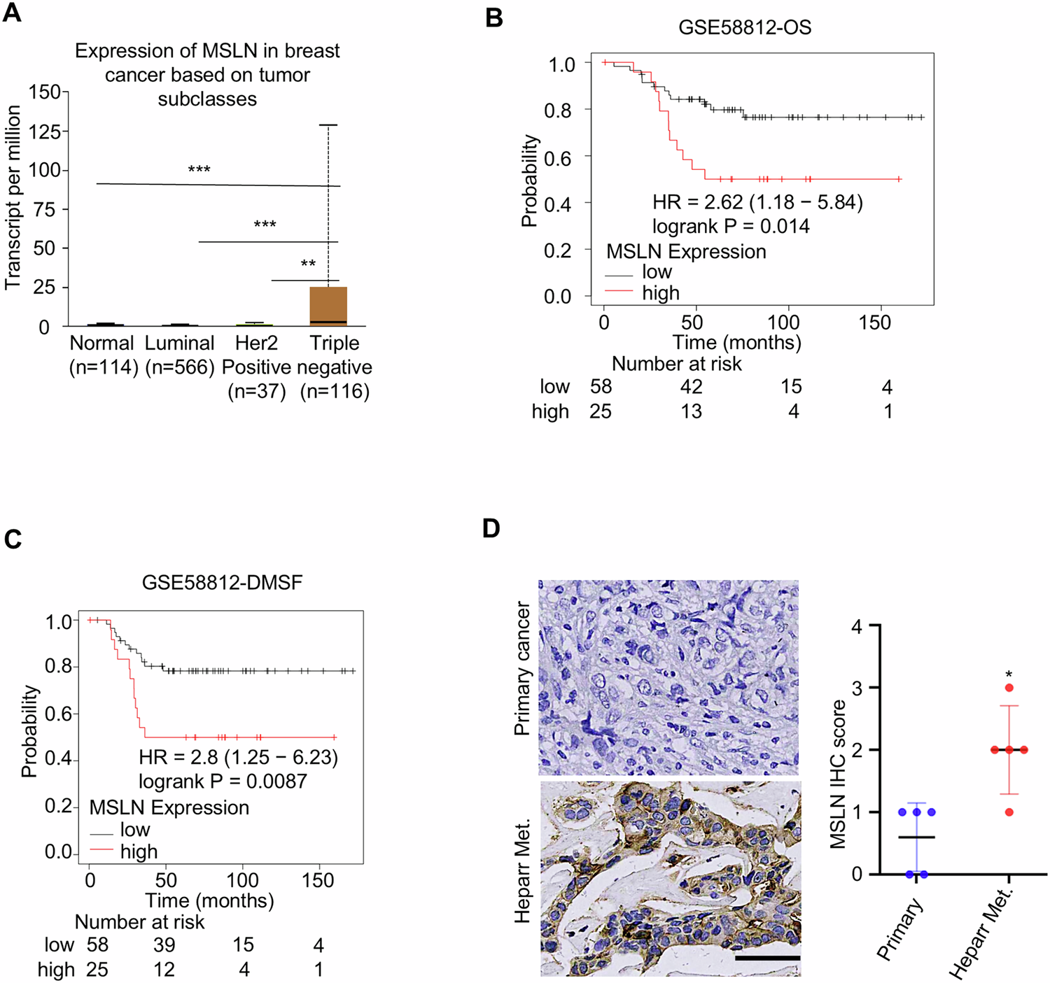 Fig. 2: Elevated MSLN is associated with clinical features of TNBC.