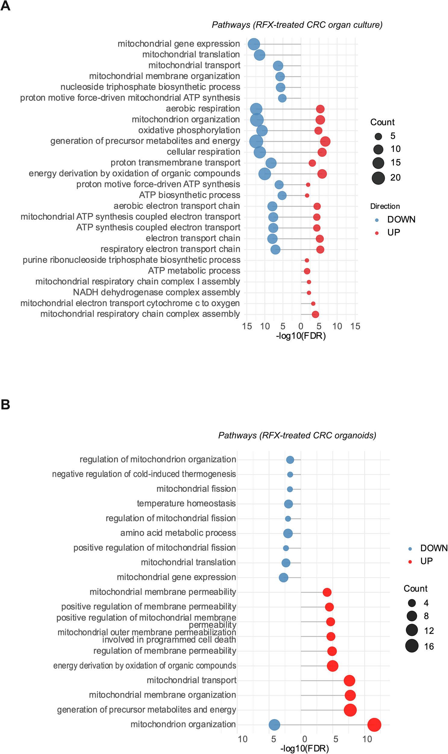 Fig. 7: Rafoxanide alters mitochondrial activity in CRC patient-derived samples.