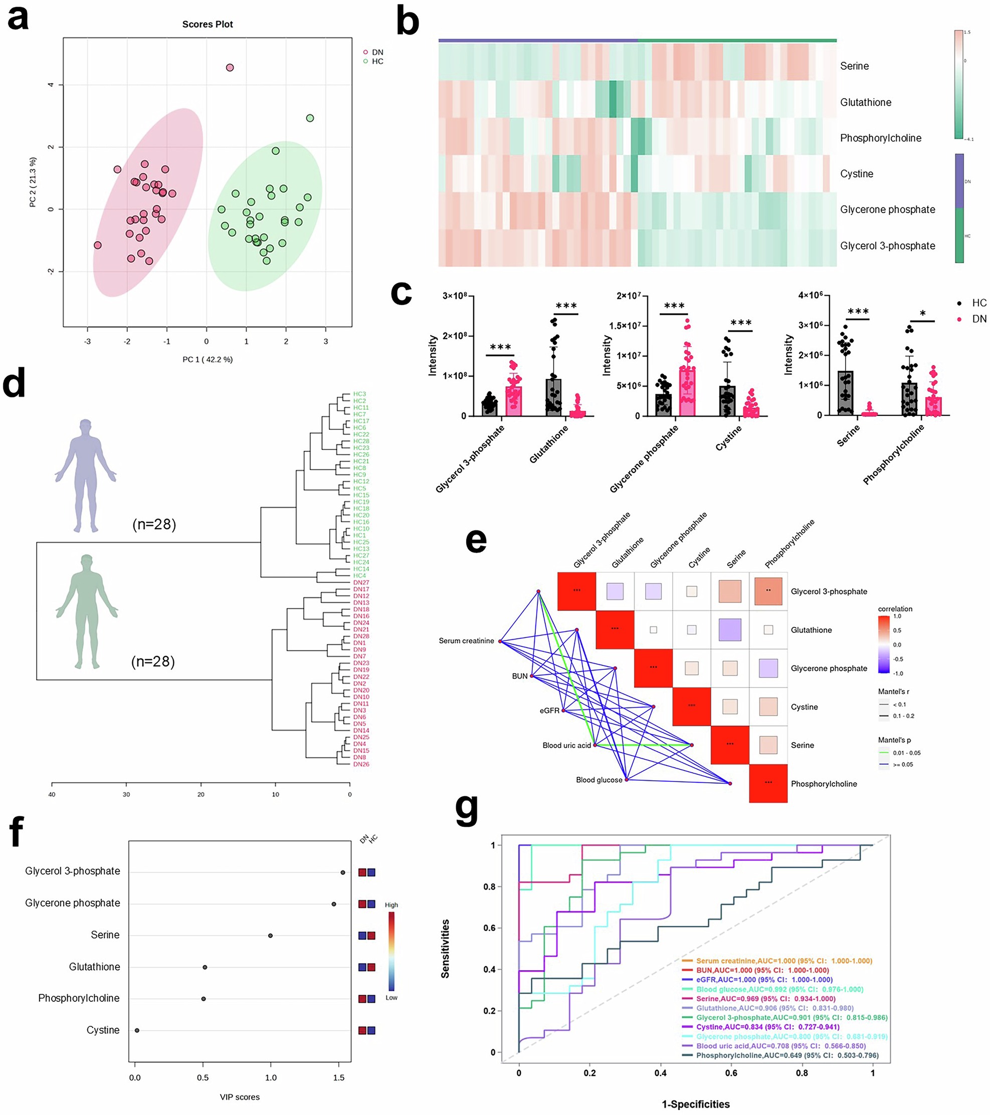 Fig. 7: Clinical metabolomic profiling reveals urinary relevant biomarkers.