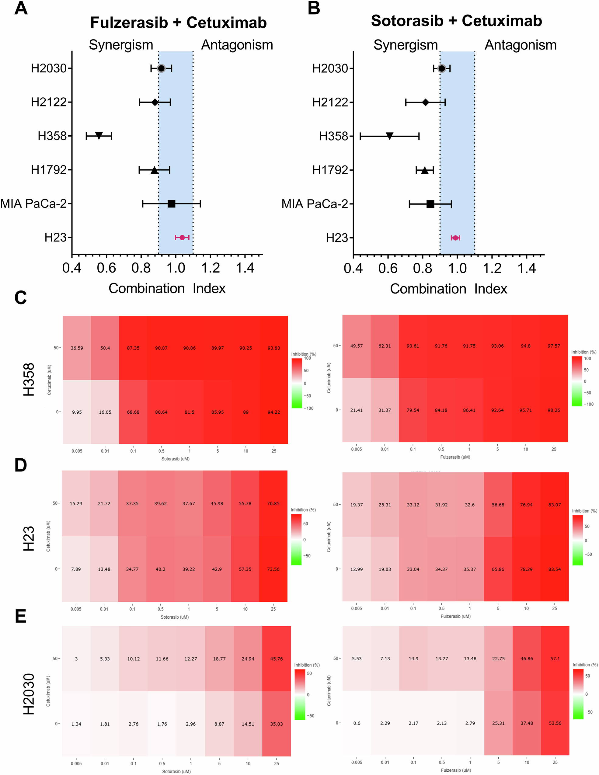Fig. 1: Effects of sotorasib/fulzerasib combined with cetuximab in KRAS G12C mutant cell lines.