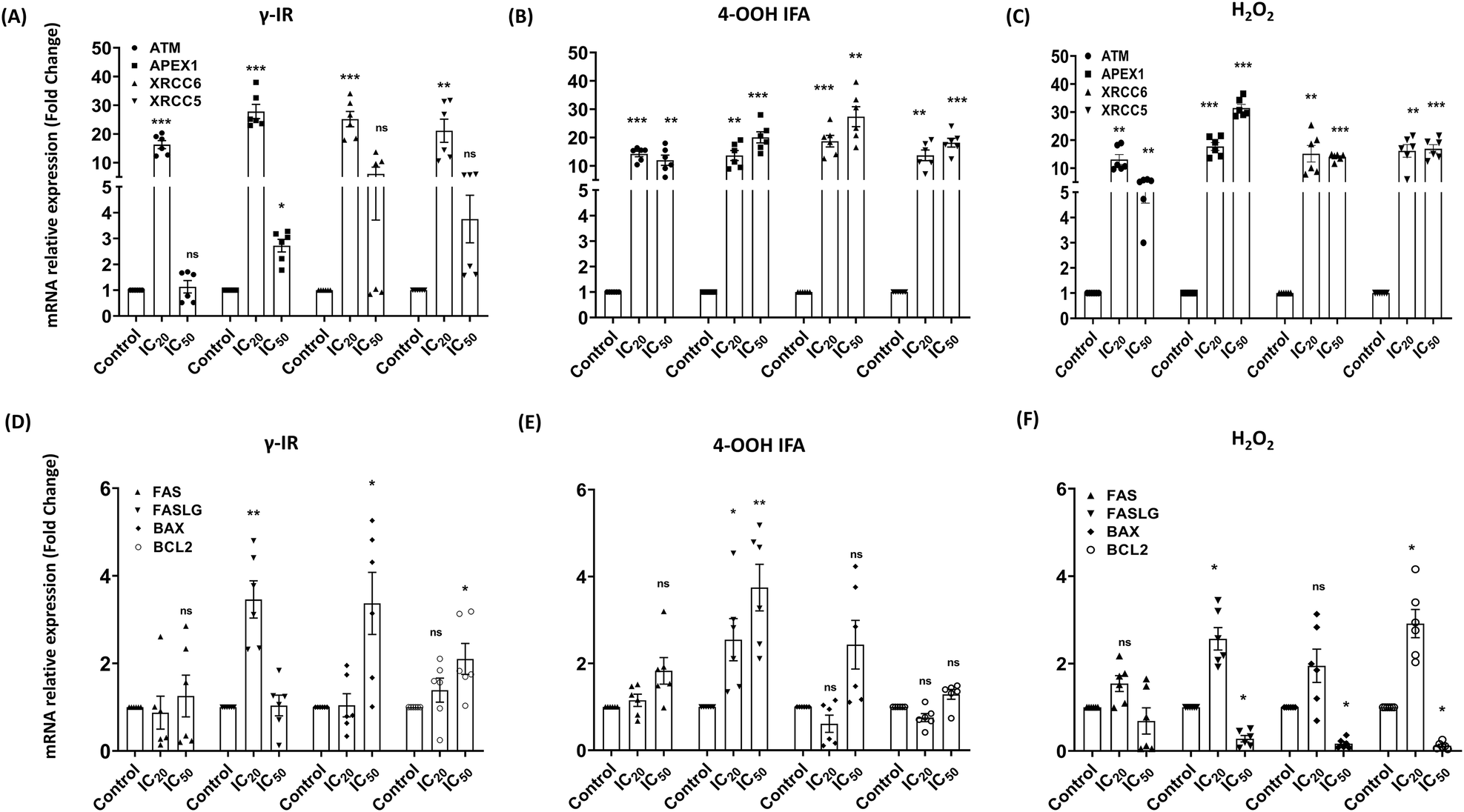 Fig. 6: Early transcriptional wiring of the damage response at 24 h.