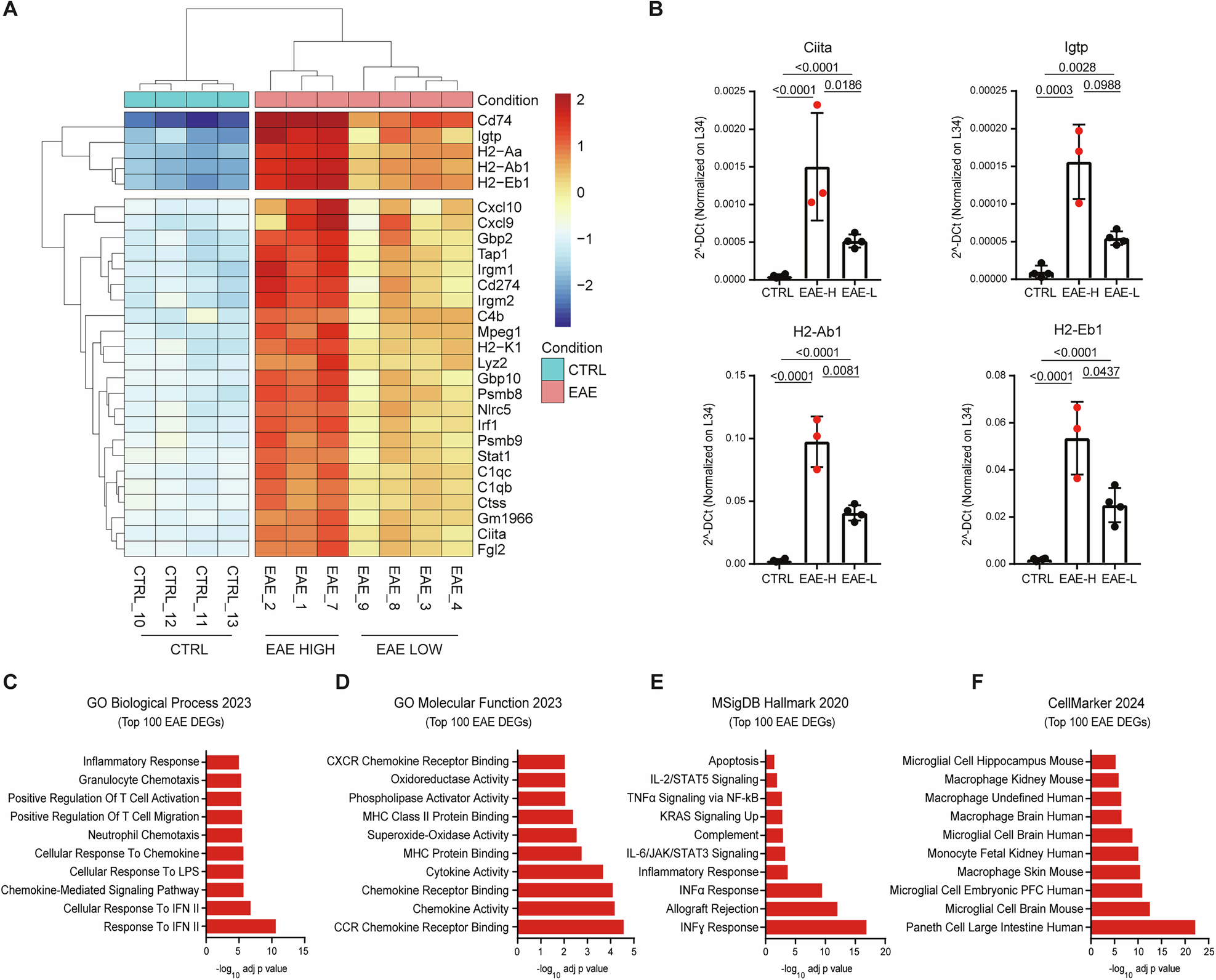 Fig. 2: Transcriptome analysis identifies EAE subgroups characterized by high and low inflammation of the prefrontal cortex.