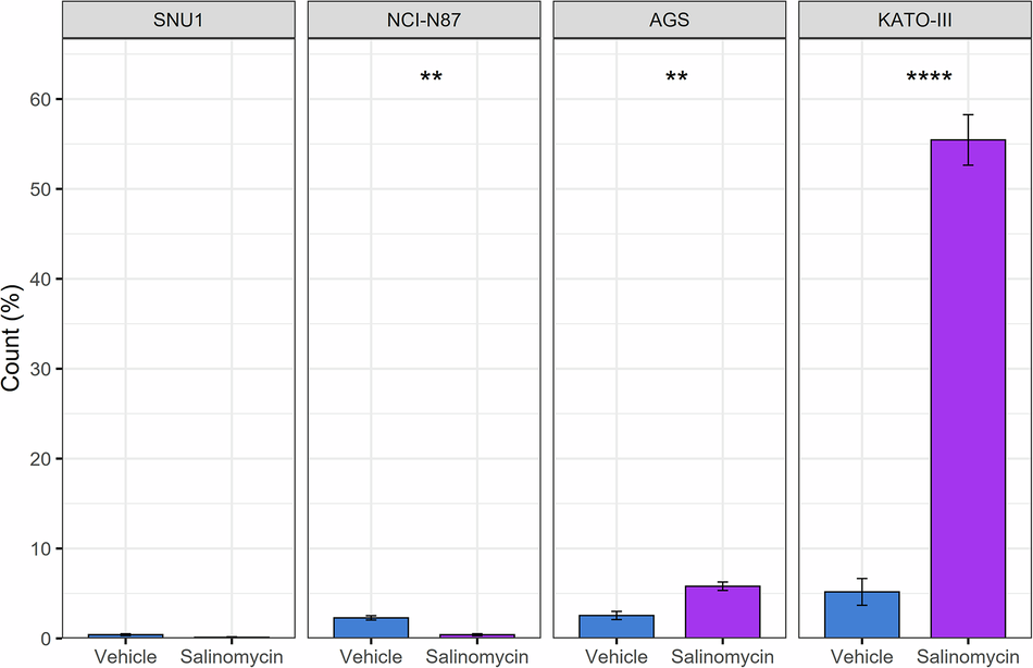 Fig. 2: Salinomycin treatment promoted ROS production in GC cell lines.