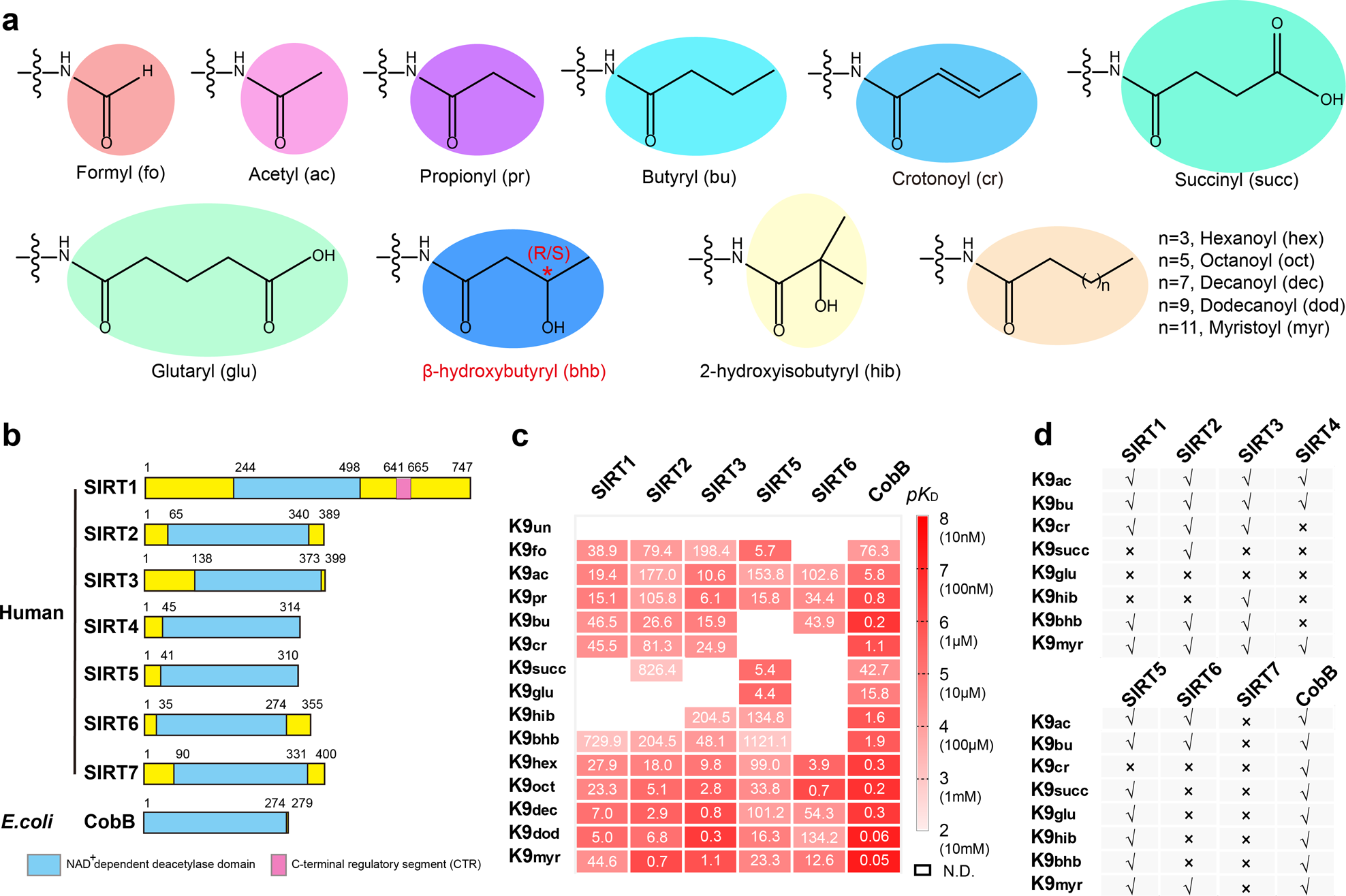 Fig. 1: Deacylase activity profiling of sirtuins.