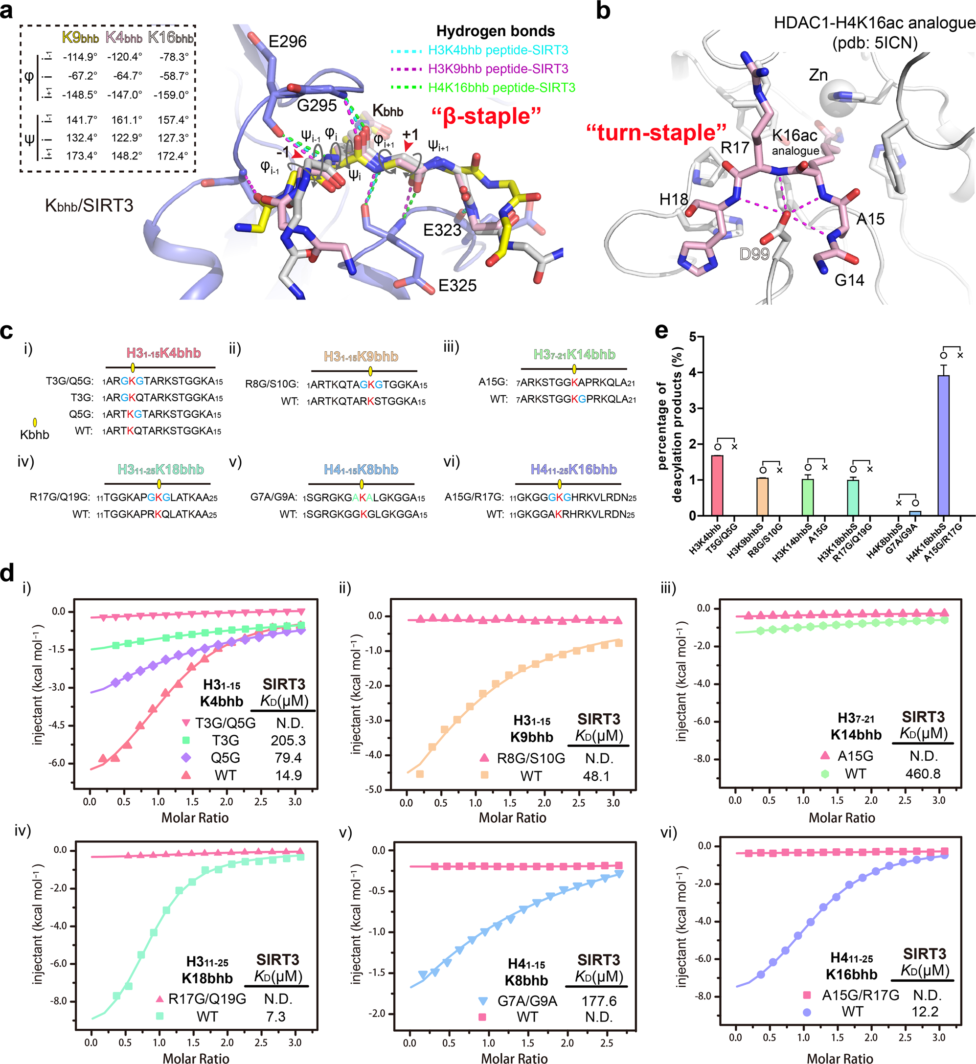 Fig. 8: Molecular basis for class-selective histone de-β-hydroxybutyrylation by SIRT3.