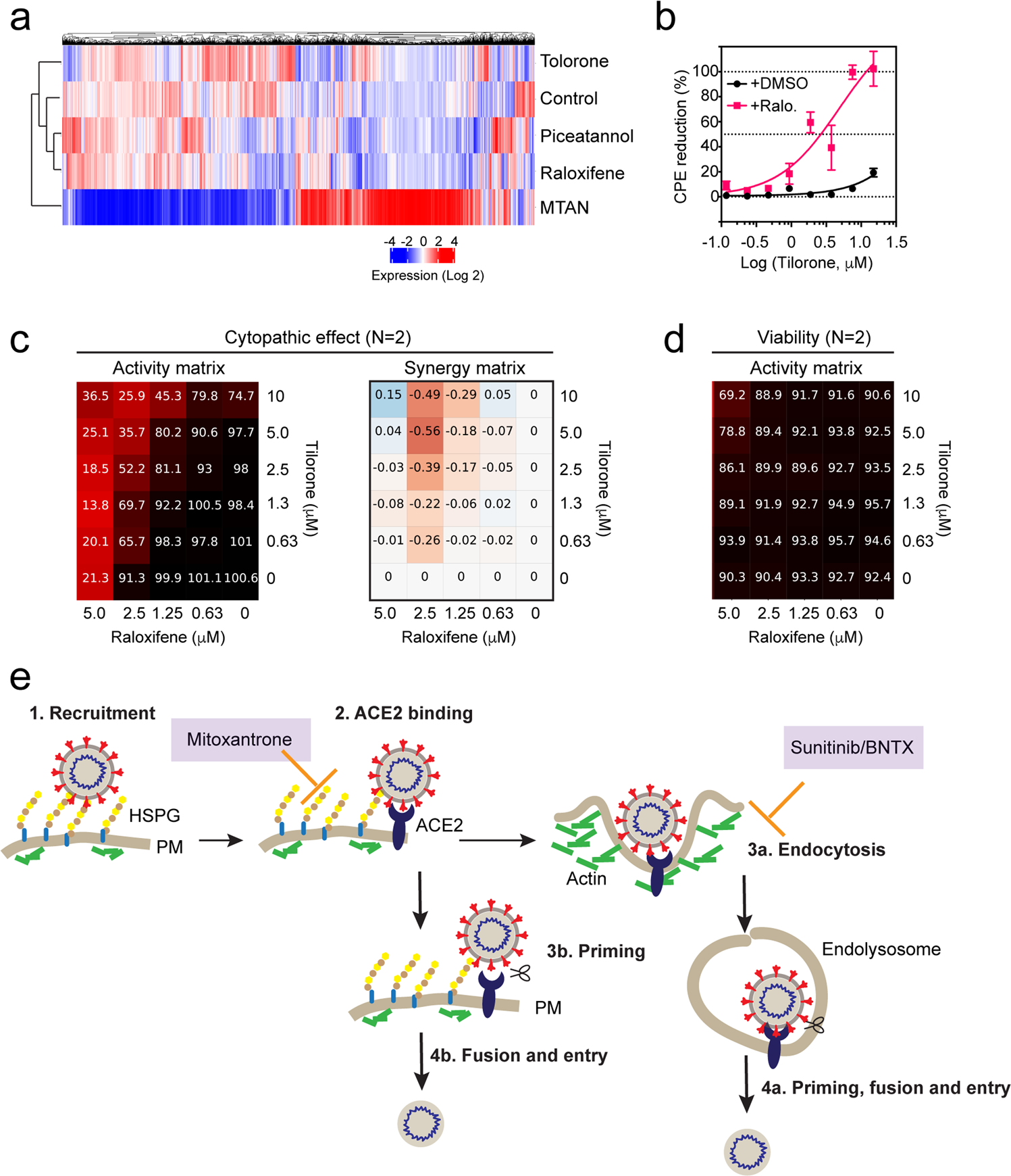 Fig. 6: A combination regimen that optimally targets HS-dependent viral entry.