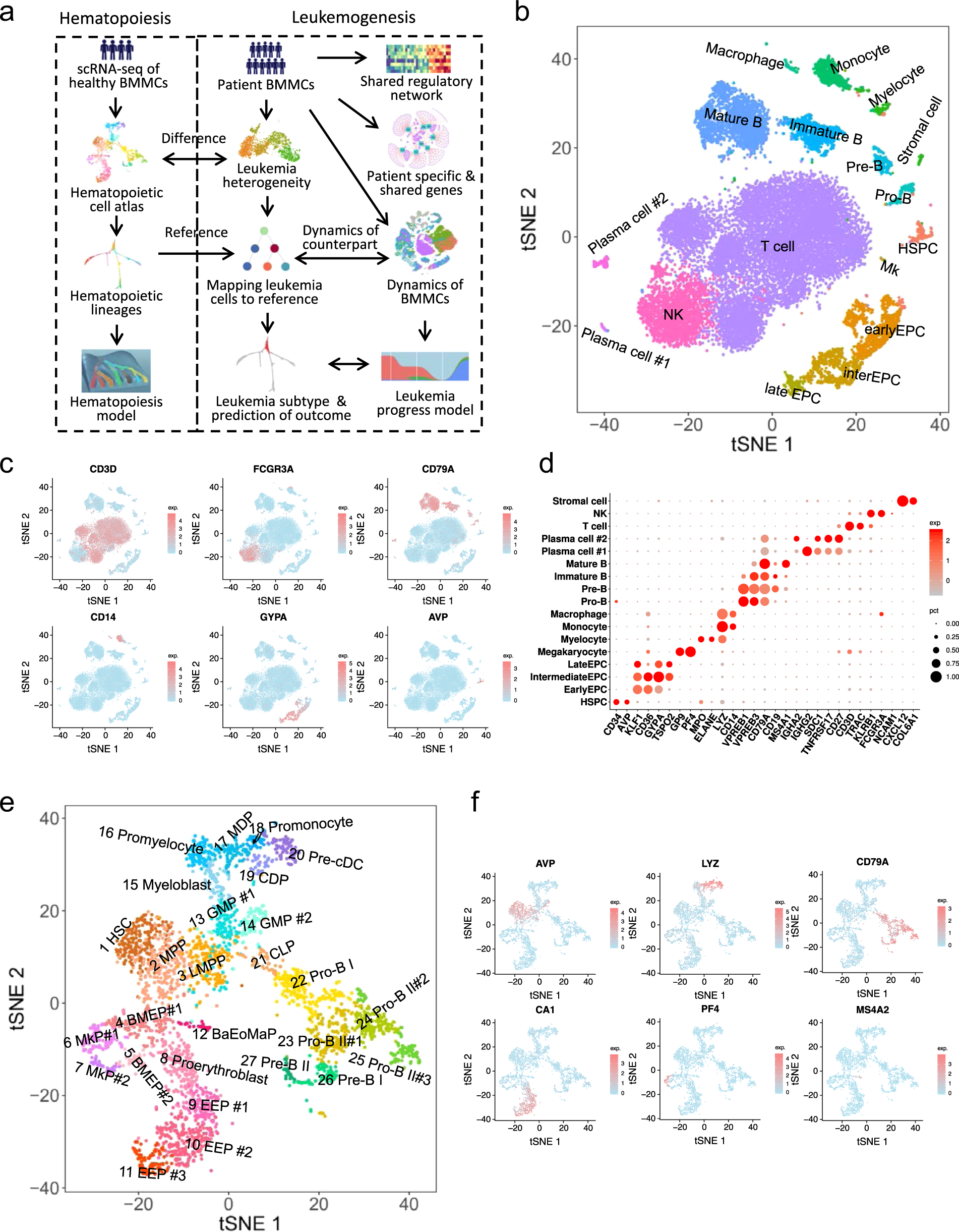 Integrated decoding hematopoiesis and leukemogenesis using single-cell  sequencing and its medical implication | Cell Discovery