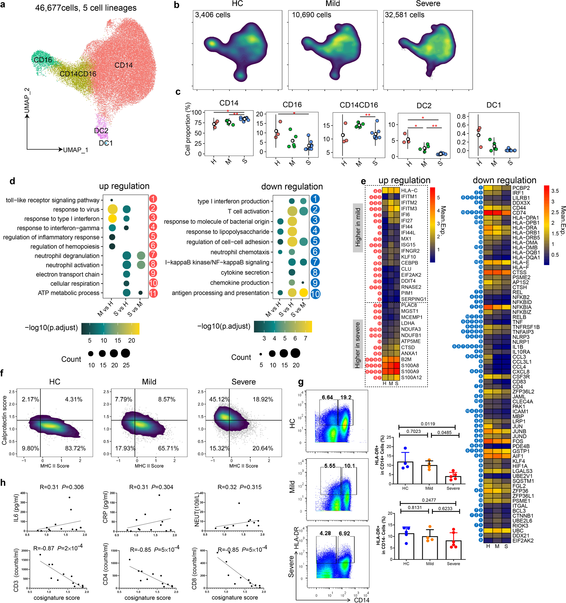 Fig. 2: Single-cell analysis of peripheral myeloid cell compartments in patients with COVID-19.
