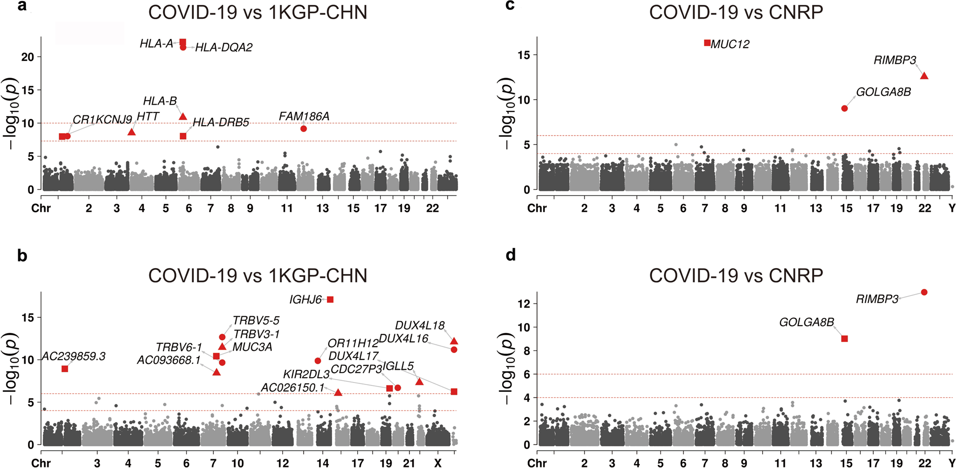 Fig. 6: Single variant and gene-based association test between COVID-19 patients and the general populations.