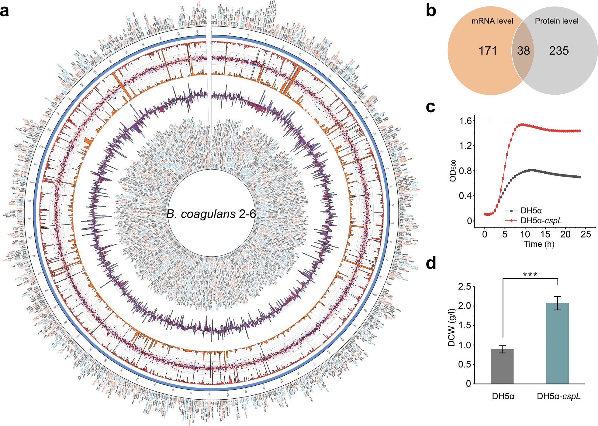 Fig. 1: Screening and identifying candidate genes associated with high temperature growth.