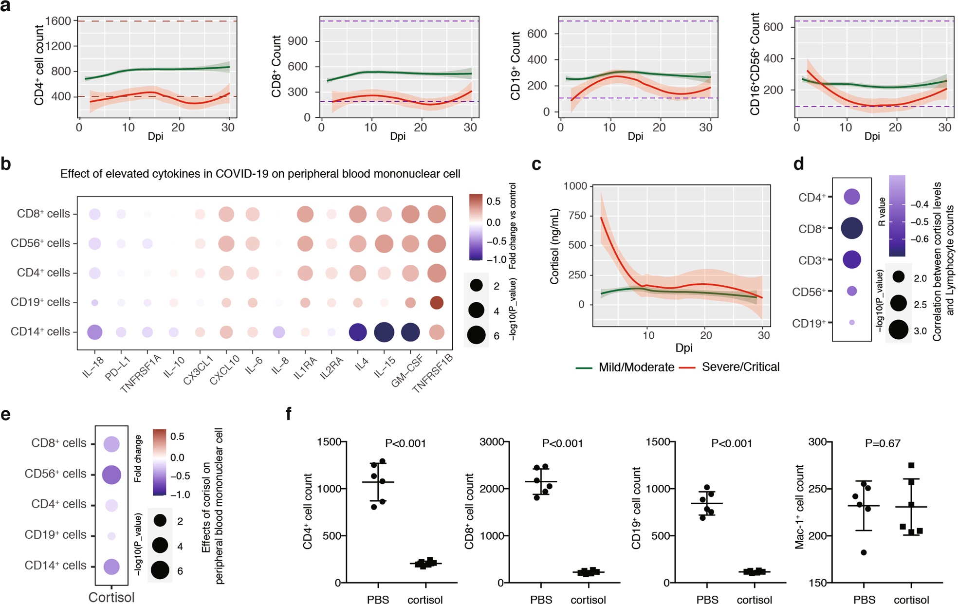 Fig. 3: The role of cytokines and cortisol in acute lymphocytopenia in severe/critical COVID-19.