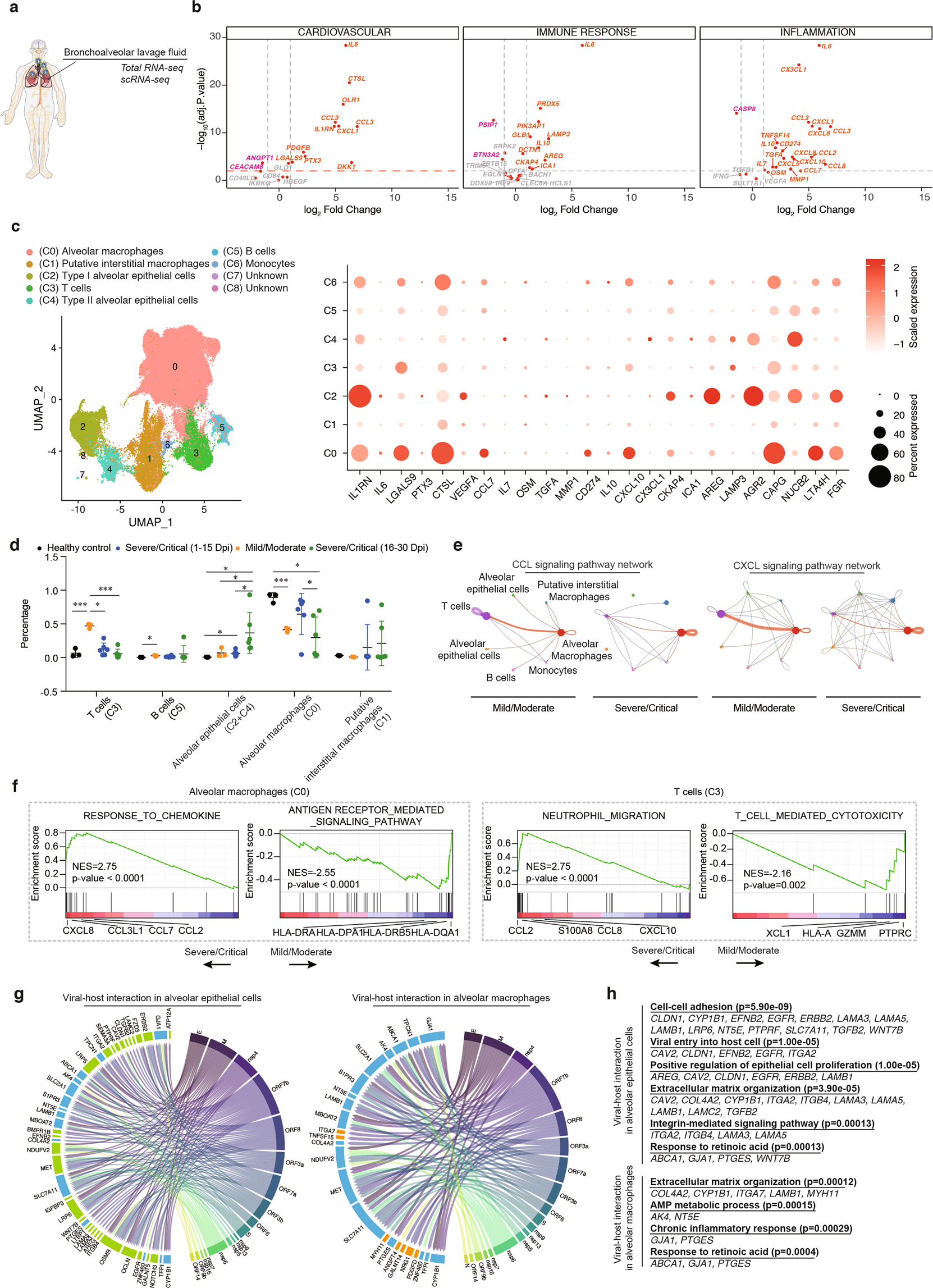Fig. 5: Transcriptome analysis of BALF samples in severe/critical COVID-19.
