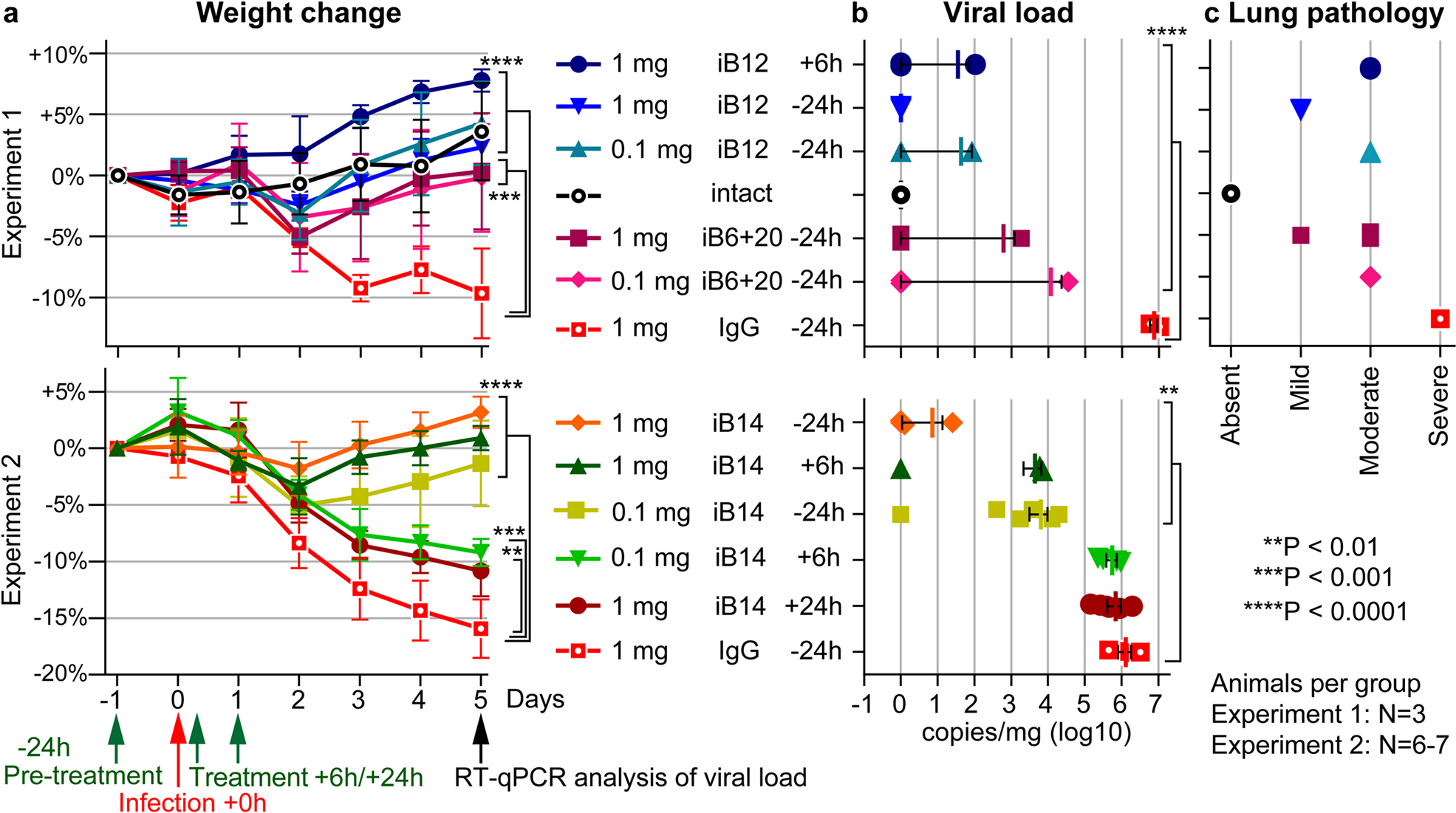 Fig. 6: Efficacy of iB12, iB14, and iB6 + iB20 cocktail in treatment and prophylaxis of SARS-CoV-2 infection in a hamster model.
