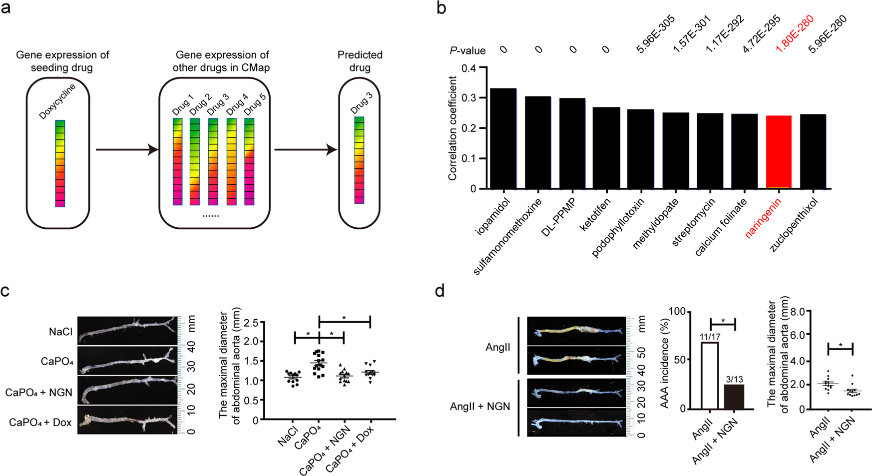 Targeting Macrophage Tfeb 14 3 3 Epsilon Interface By Naringenin Inhibits Abdominal Aortic Aneurysm Cell Discovery