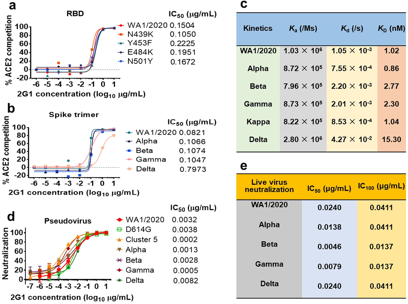 Fig. 3: Binding, blocking, and extensive neutralization of 2G1 against SARS-CoV-2 variants.