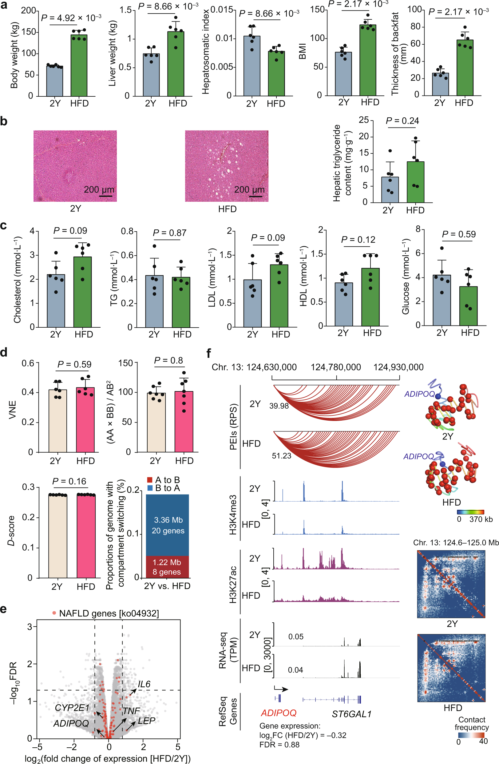 Fig. 7: Changes in phenotypes related to hepatic function, chromatin architecture, and gene expression as a response to liver metabolic stress in pigs.