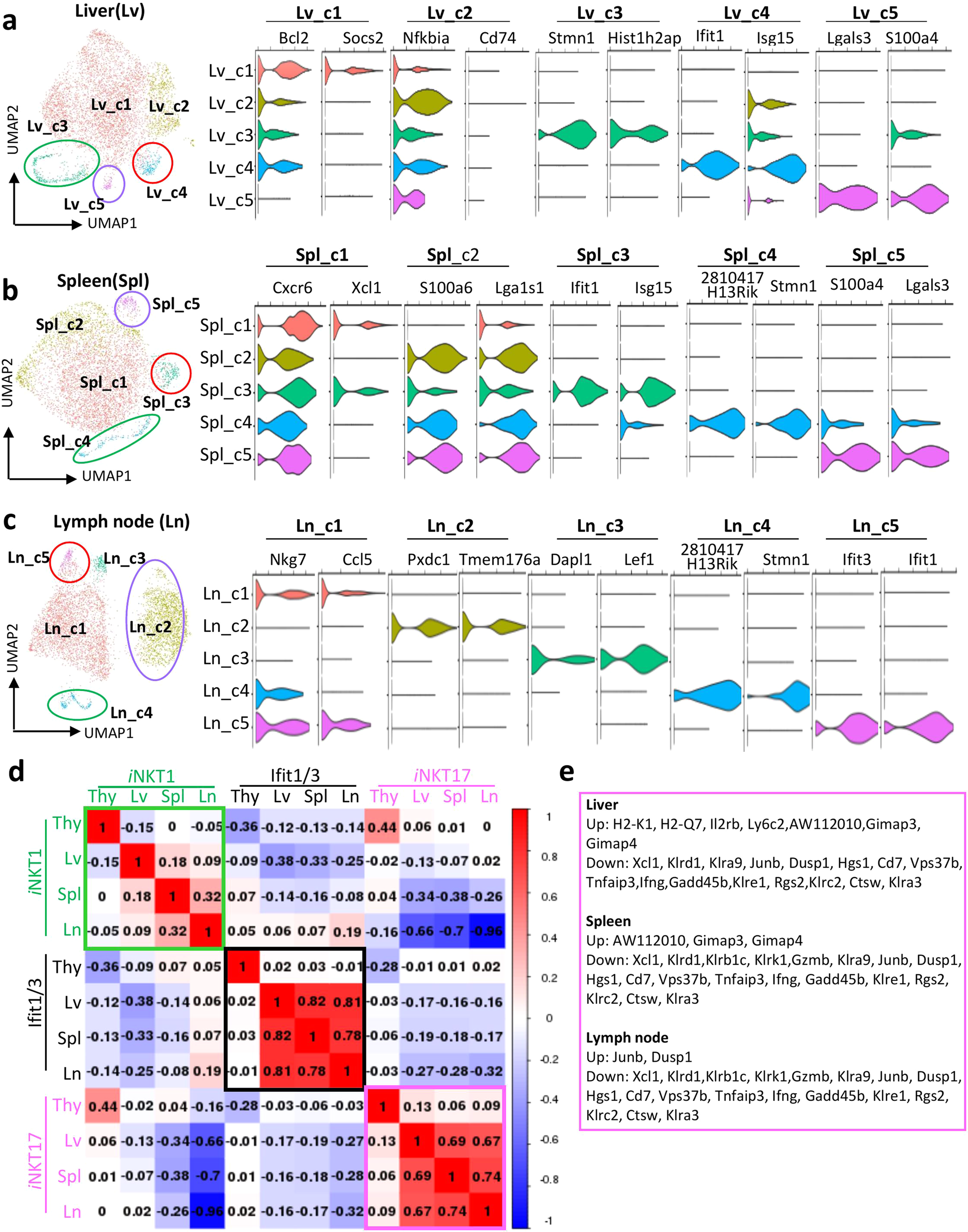 Fig. 3: Comparison of transcriptomic profiles among iNKT cells from different peripheral organs.