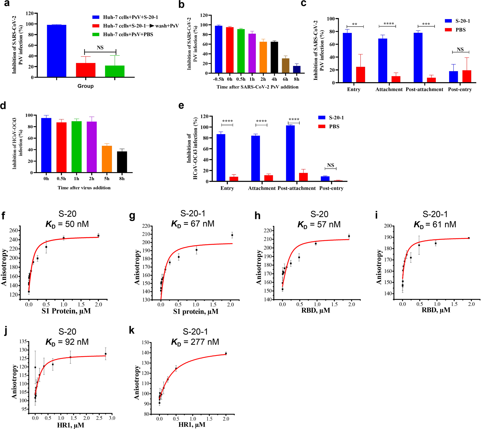 Fig. 6: Inhibition of SARS-CoV-2 infection by S-20-1 that specifically targets at RBD and HR1 domain at the early stage of viral entry.