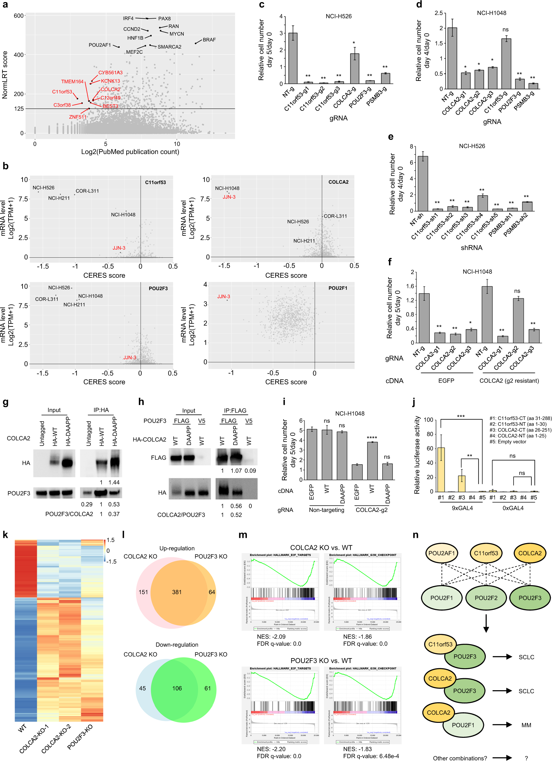 Frontiers  Identification of MARK2, CCDC71, GATA2, and KLRC3 as