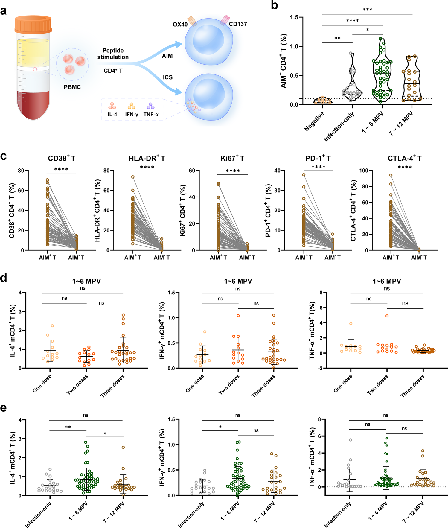 Fig. 4: SARS-CoV-2-specific CD4+ T cell response.