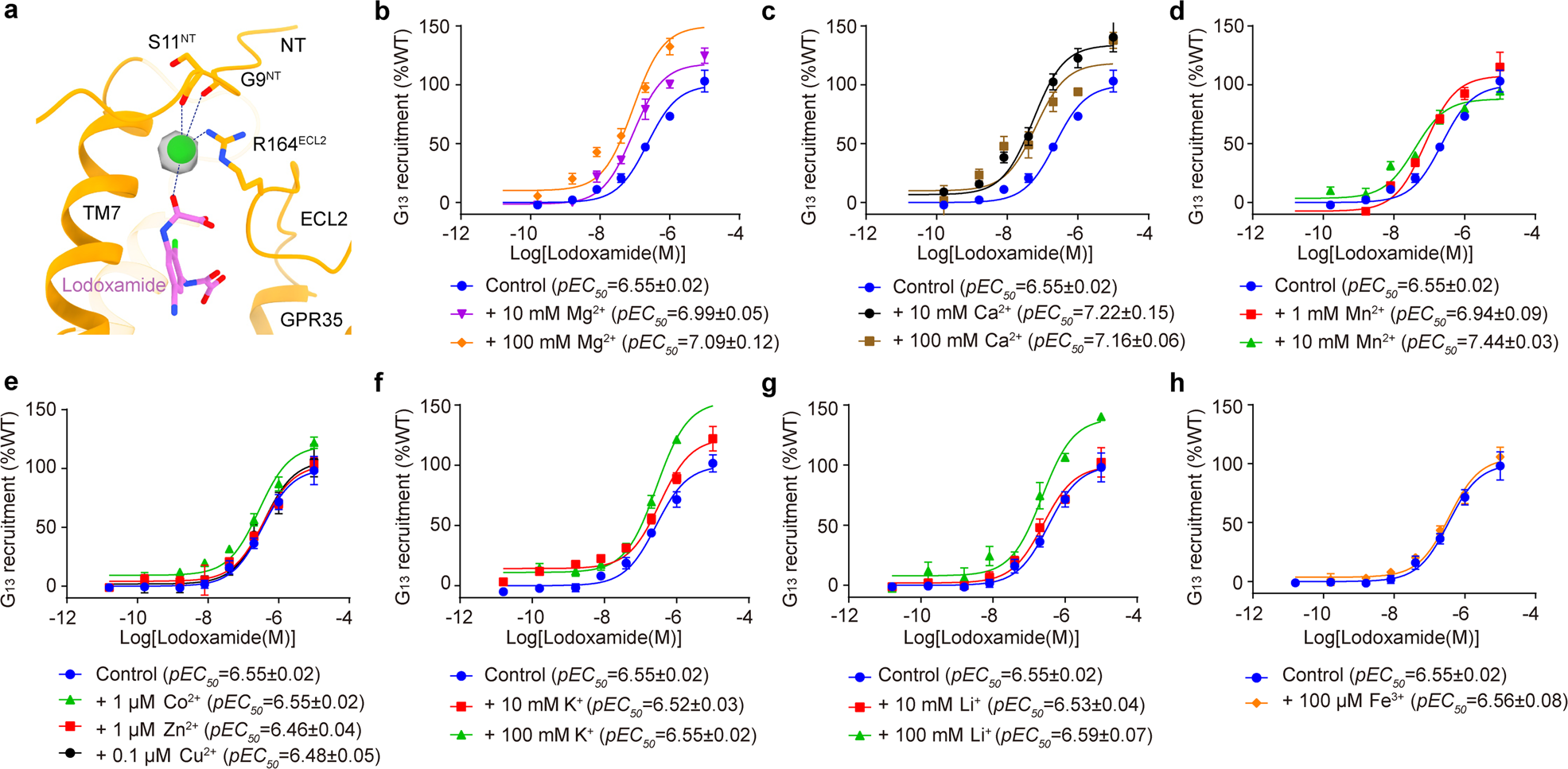 Fig. 2: Allosteric agonism of GPR35 by cations.
