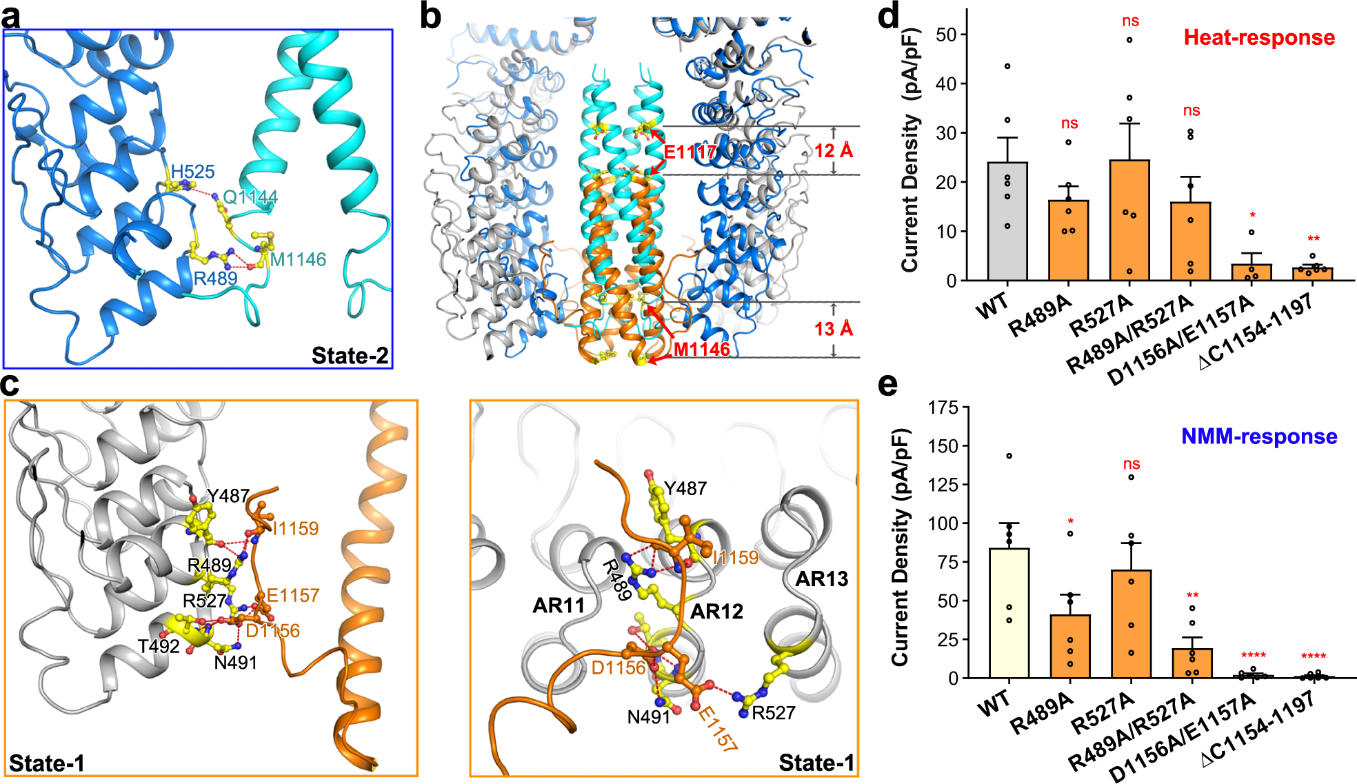 Fig. 4: The C-terminal coiled-coil domain of dTRPA1-A isoform undergoes a large movement during state transitions.