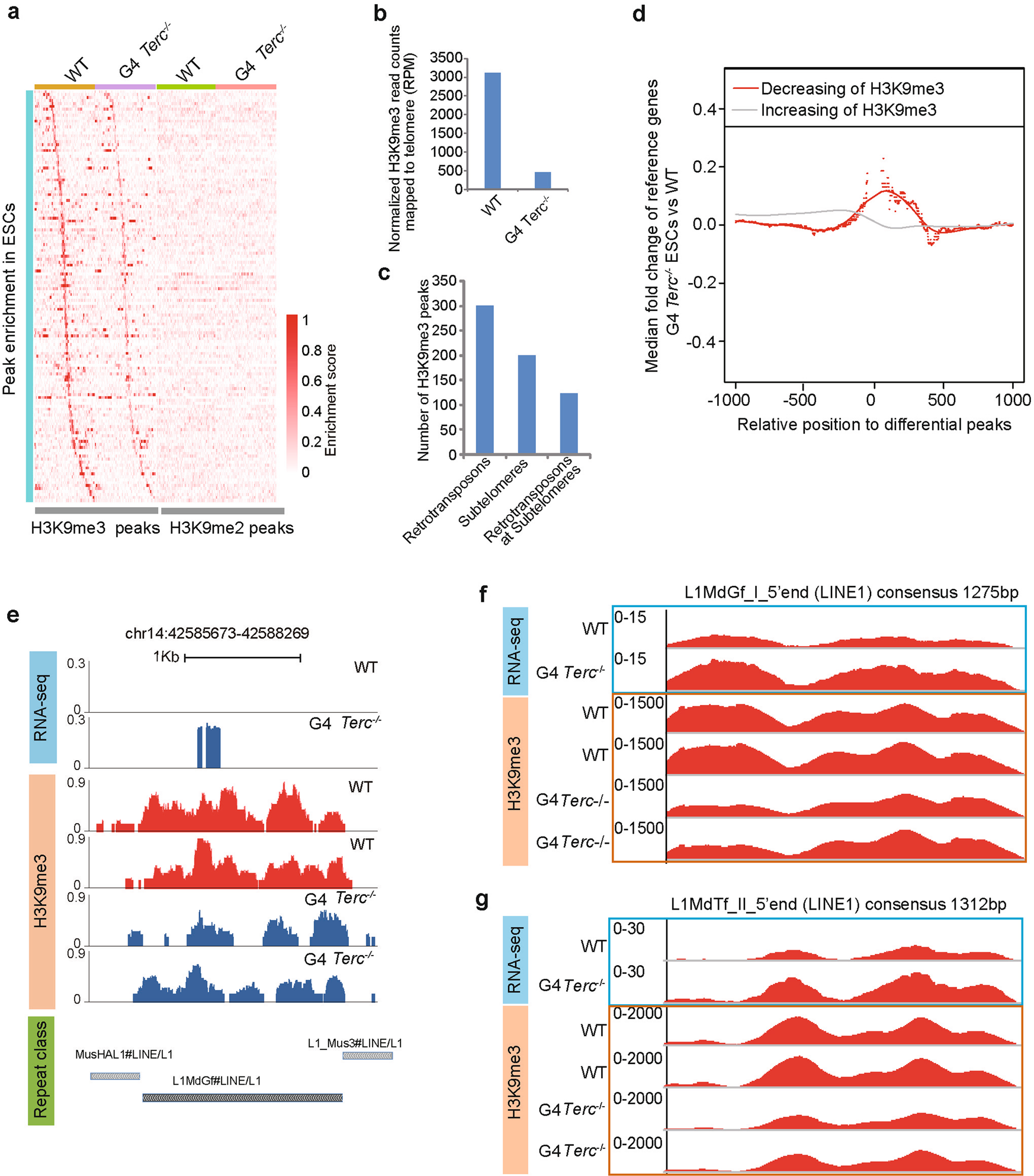 Fig. 7: H3K9me3 regulates the retrotransposon activity induced by critically short telomeres.