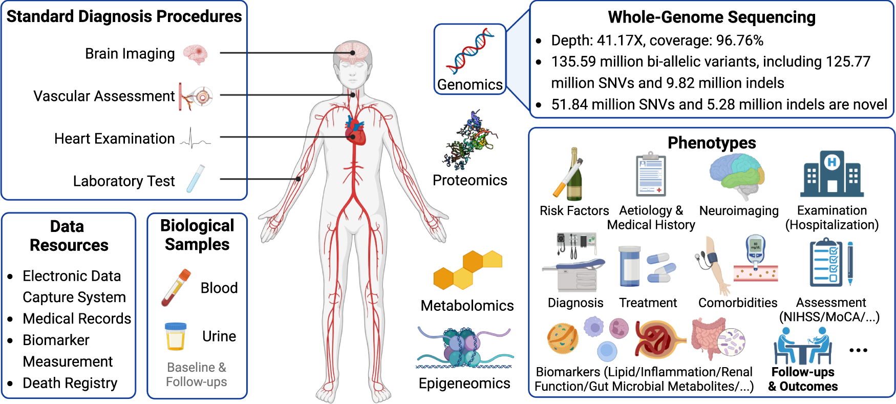 The STROMICS genome study: deep whole-genome sequencing and analysis of 10K  Chinese patients with ischemic stroke reveal complex genetic and phenotypic  interplay | Cell Discovery