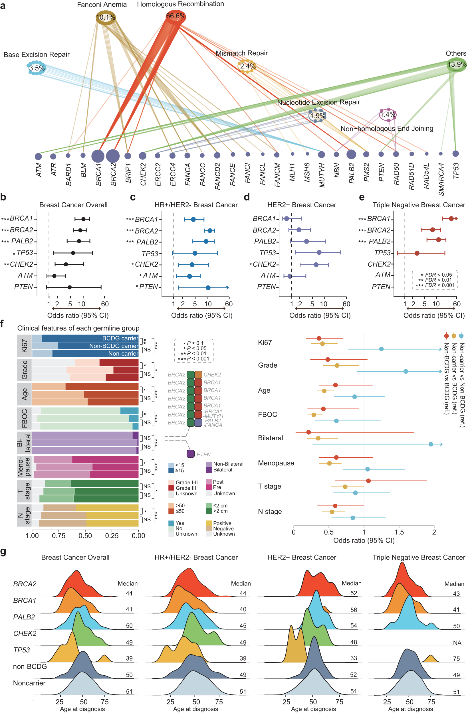 Fig. 4: Clinical characteristics of germline alterations and comparison with the general population.
