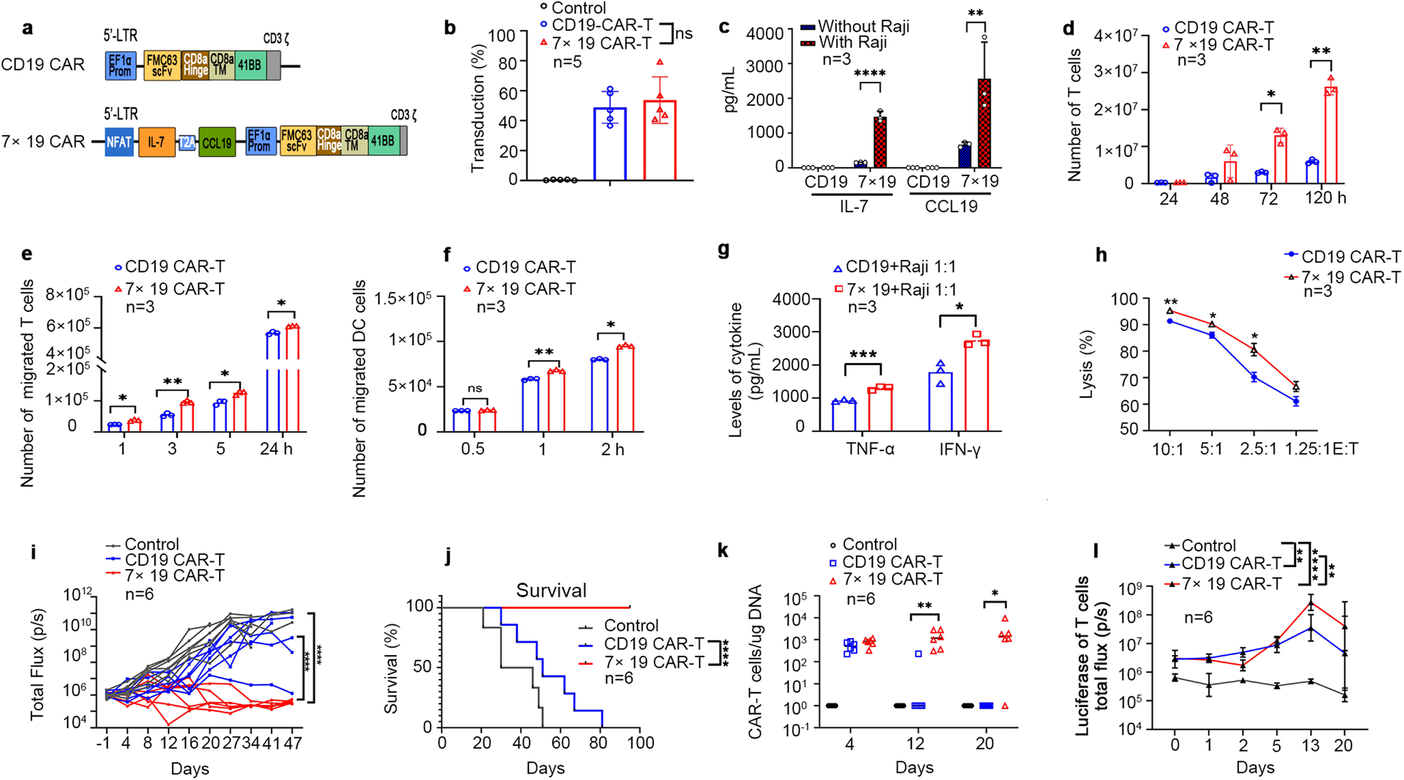Fig. 1: Preclinical validation of 7 × 19 CAR T cells.