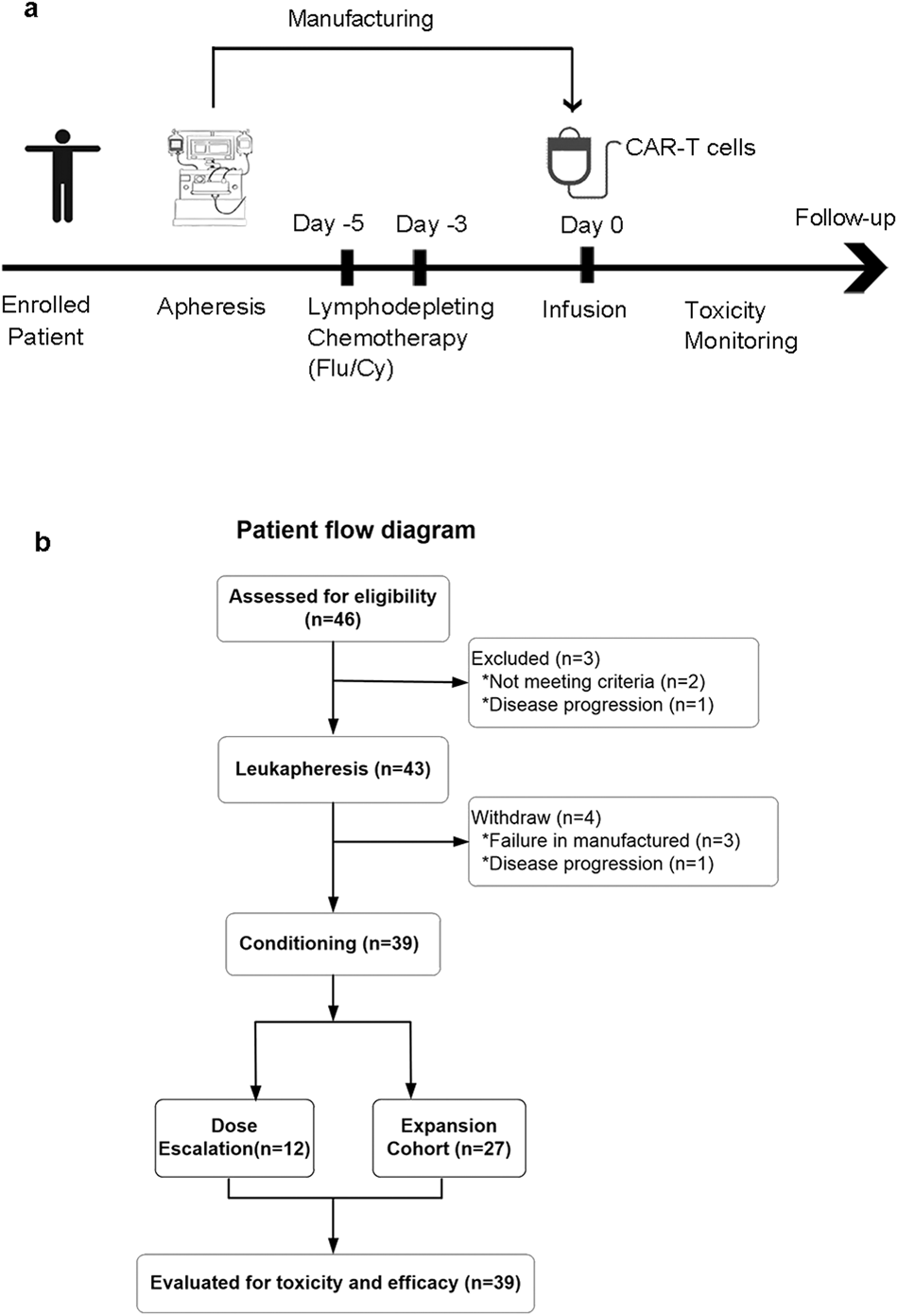 Fig. 2: Clinical trial scheme and demographic and clinical characteristics of the enrolled patients.