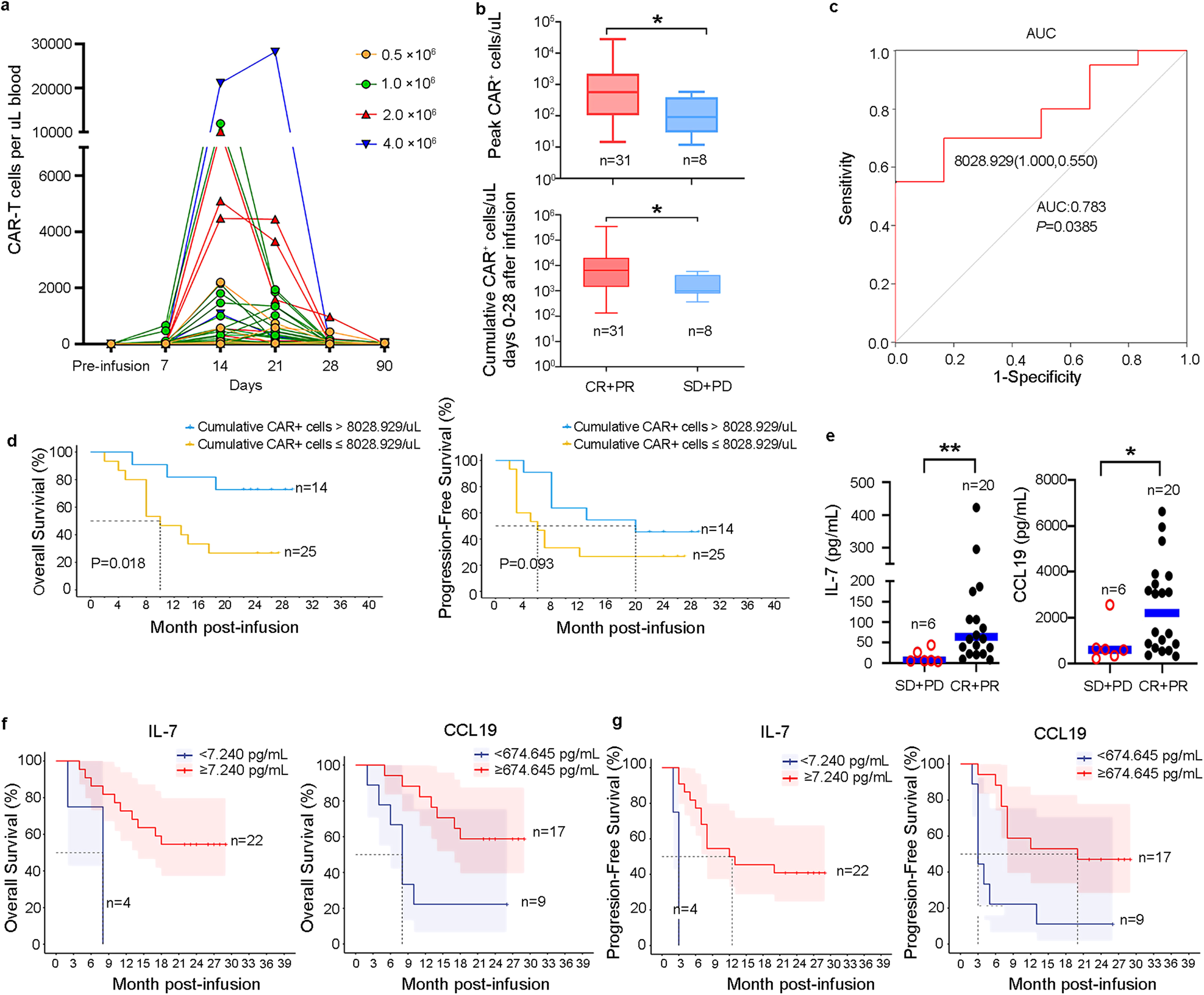 Fig. 4: Pharmacodynamics of 7 × 19 CAR T cells and correlation of plasma IL-7 and CCL19 levels with clinical outcomes.