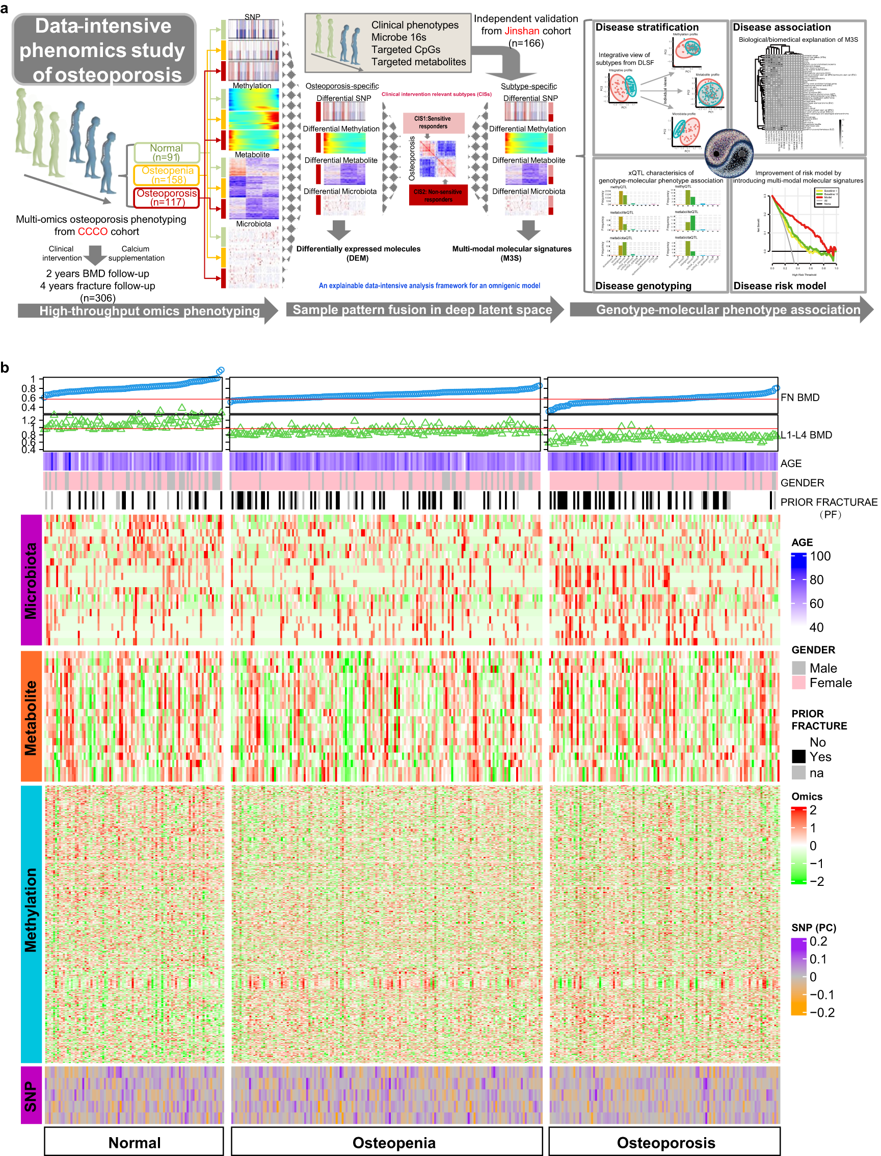 Fig. 1: Design and workflow for studying osteoporosis and its subtypes on the basis of a multi-omics atlas generated by data-intensive analysis.