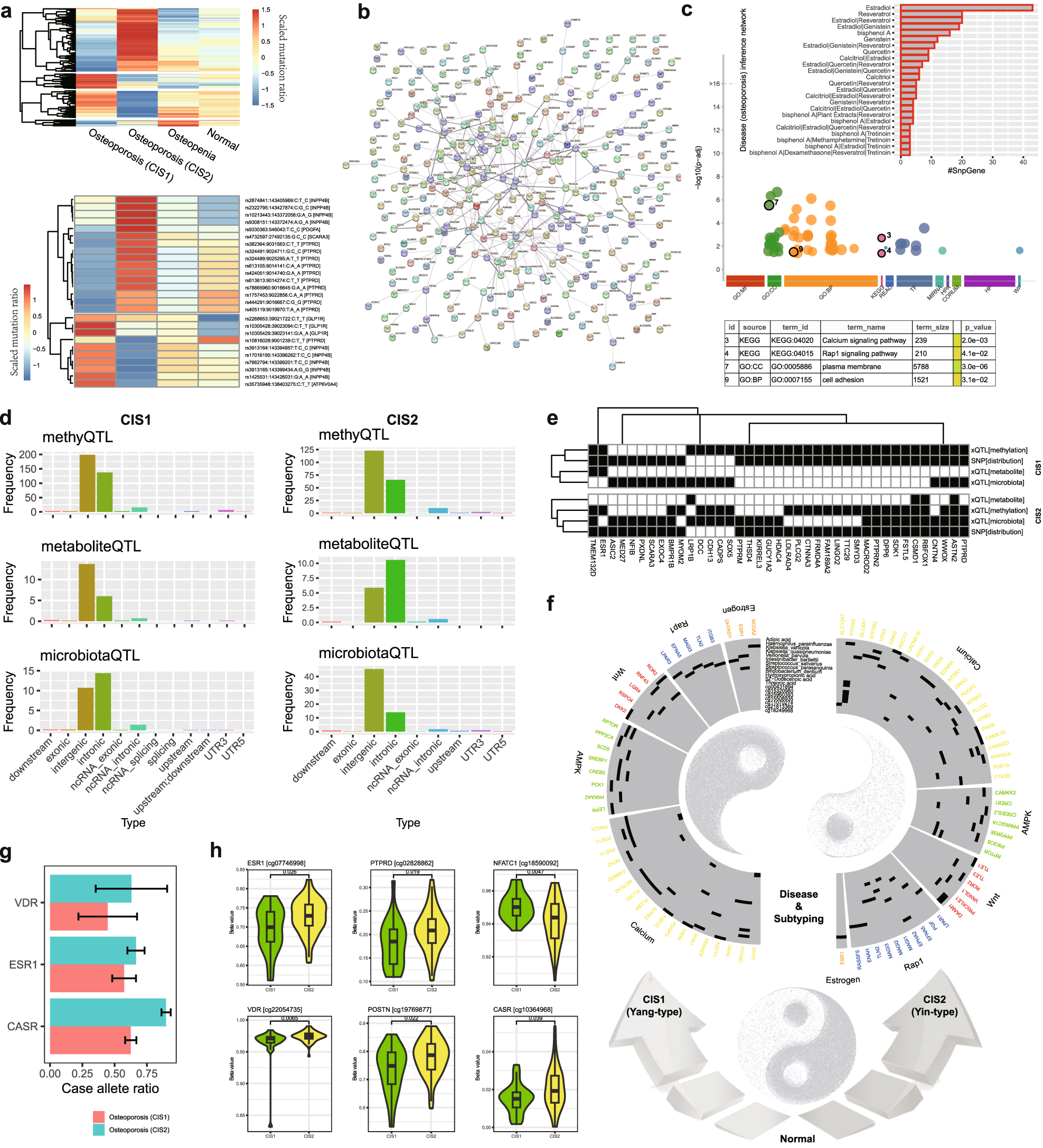 Fig. 6: Genome characteristics underlying multi-modal molecular signatures M3S of osteoporosis subtypes in a Yin-Yang scheme.