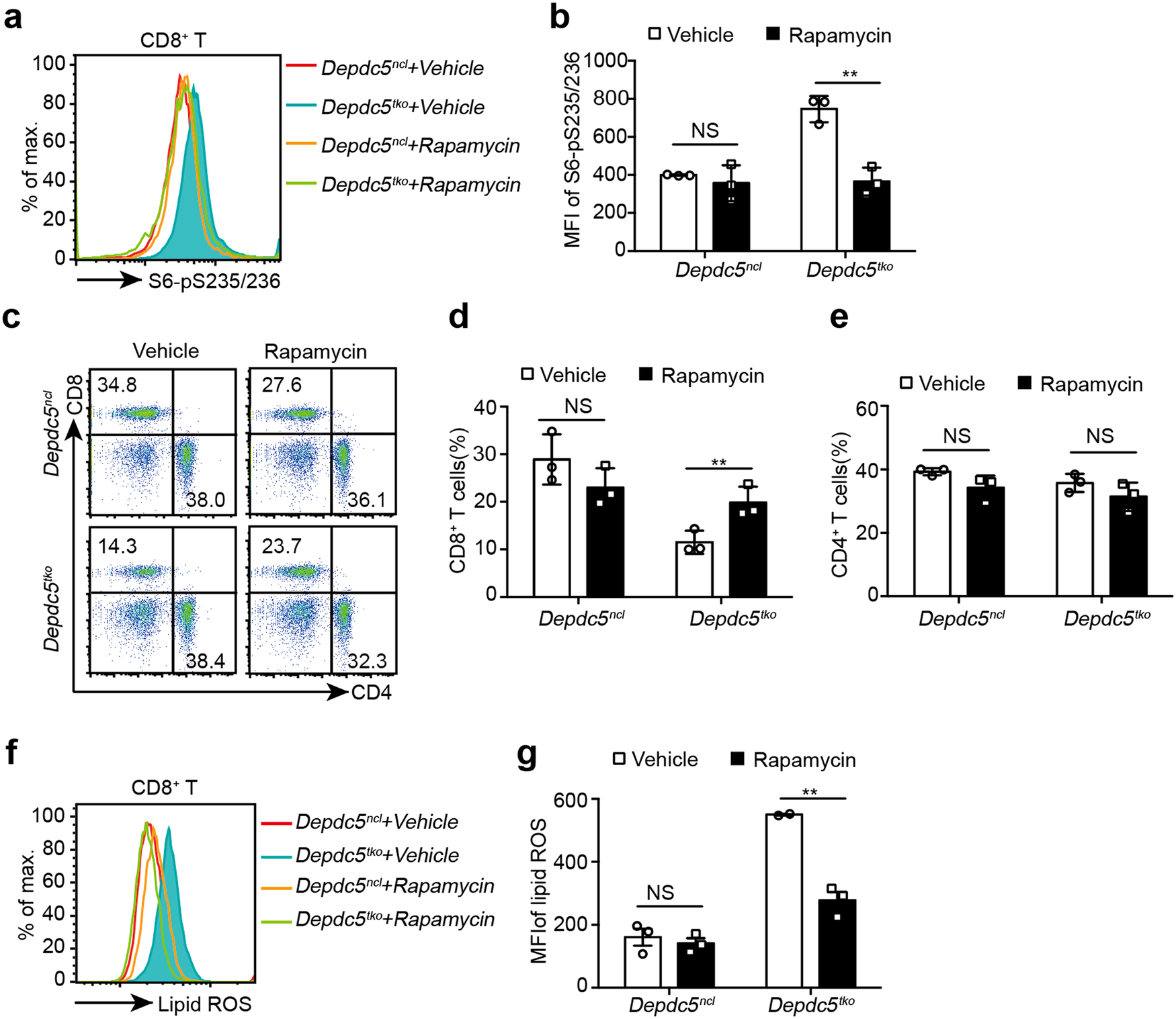 Fig. 5: Rapamycin treatment increases blood CD8+ T cell frequency in Depdc5tko mice.