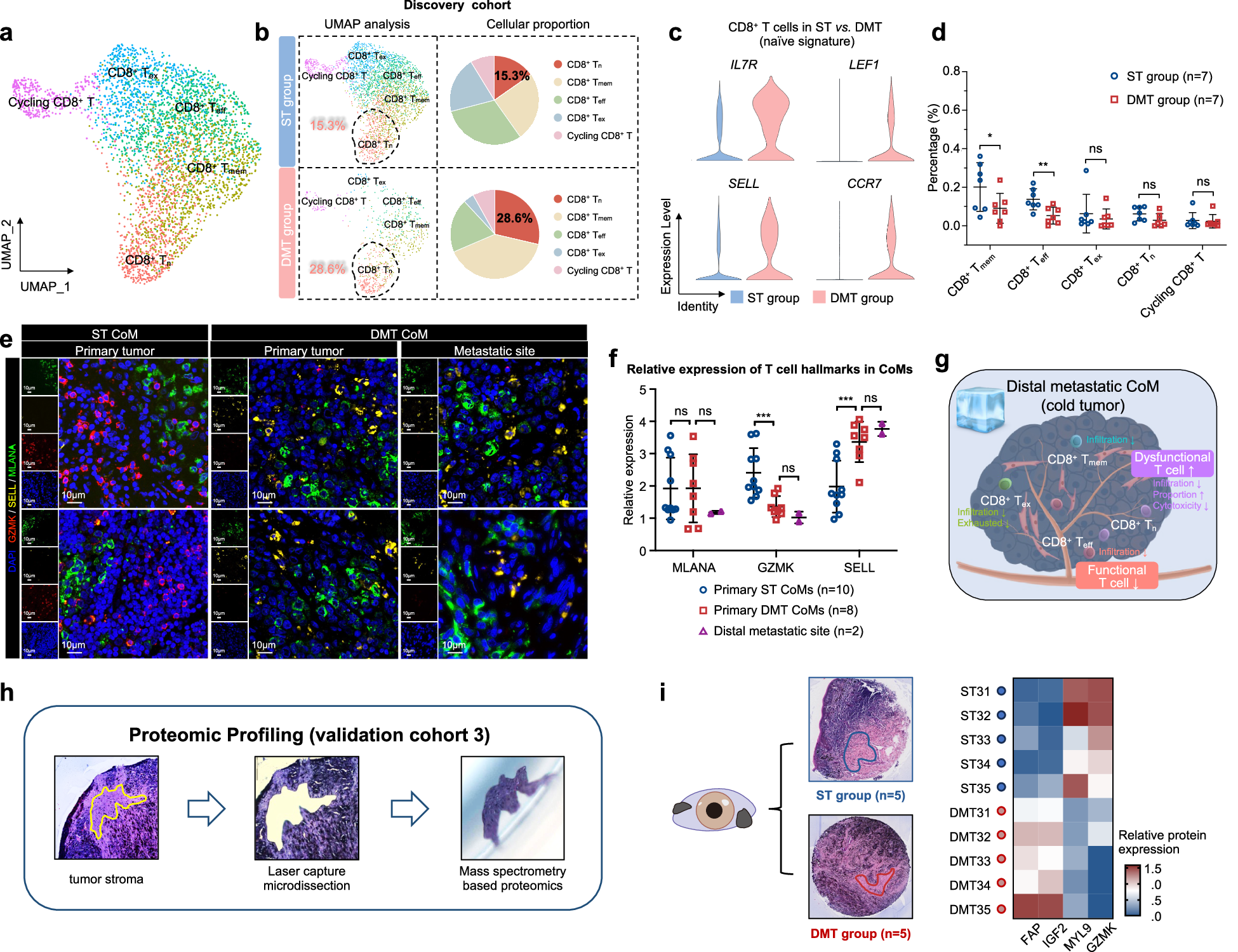 Fig. 5: CD8+ T cells play crucial roles in the distinctive immune microenvironment of distant metastatic CoM.