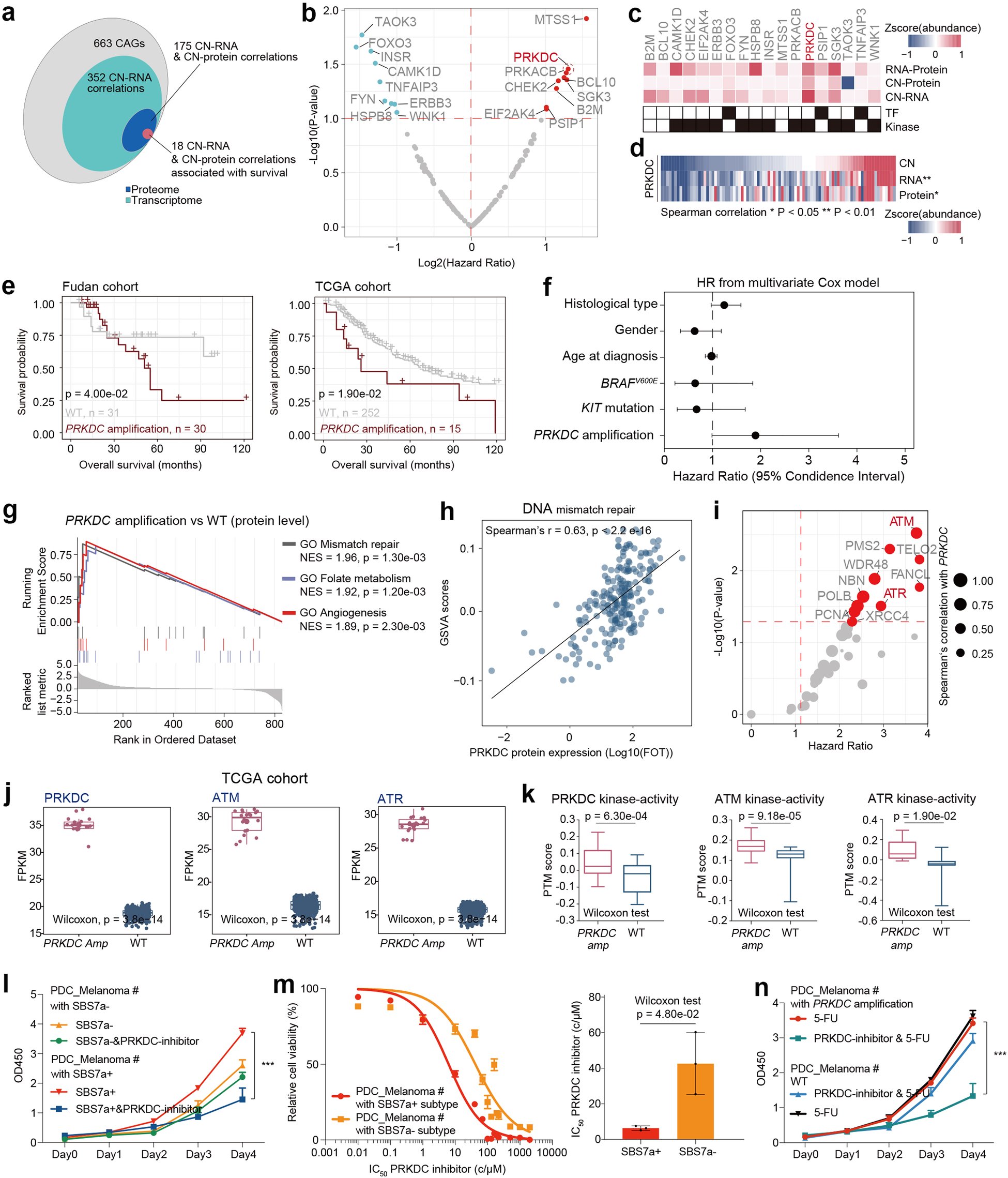 Fig. 2: Integrative omics analyses of melanoma samples.