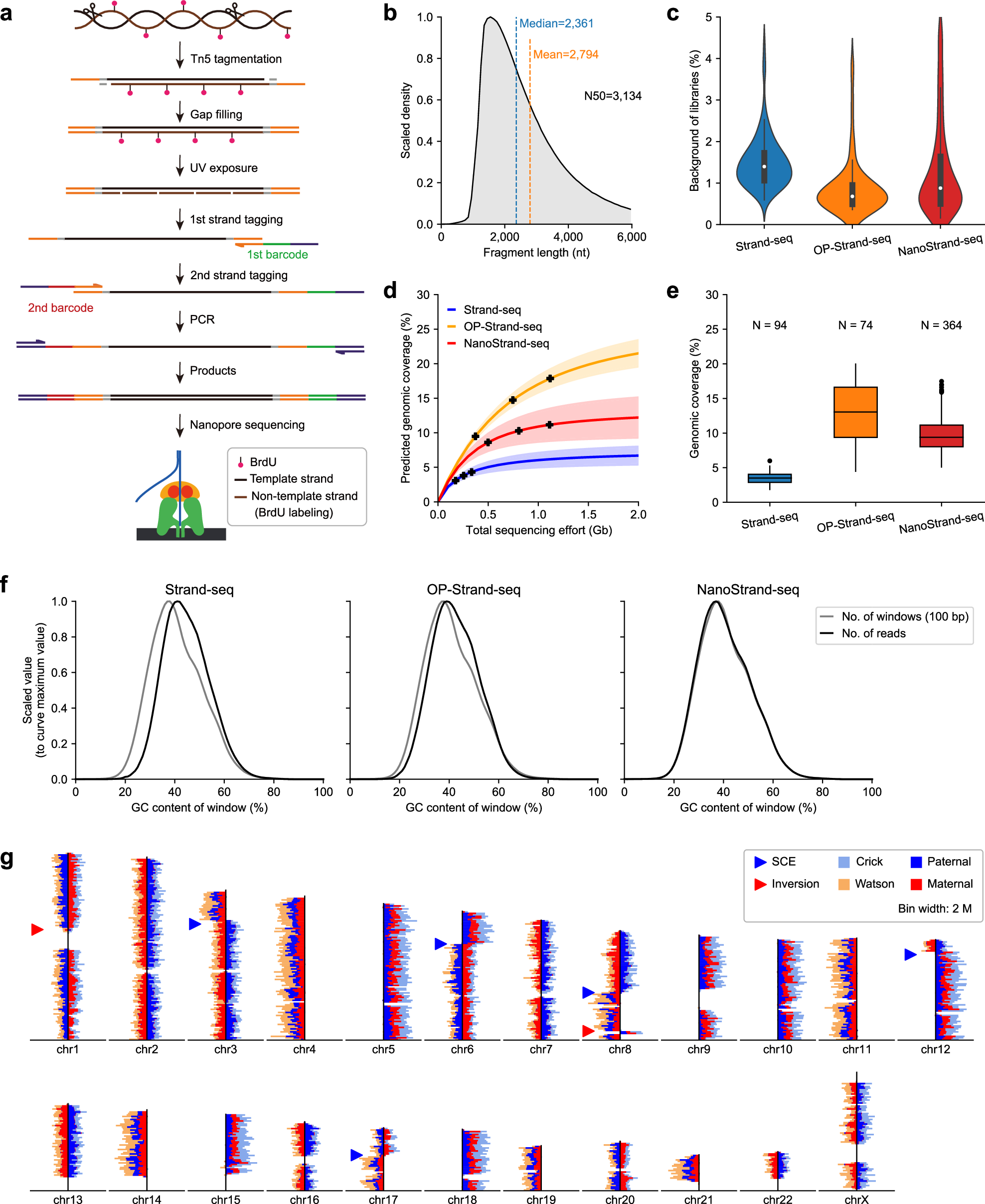 Fig. 1: Strategy and characterization of NanoStrand-seq.