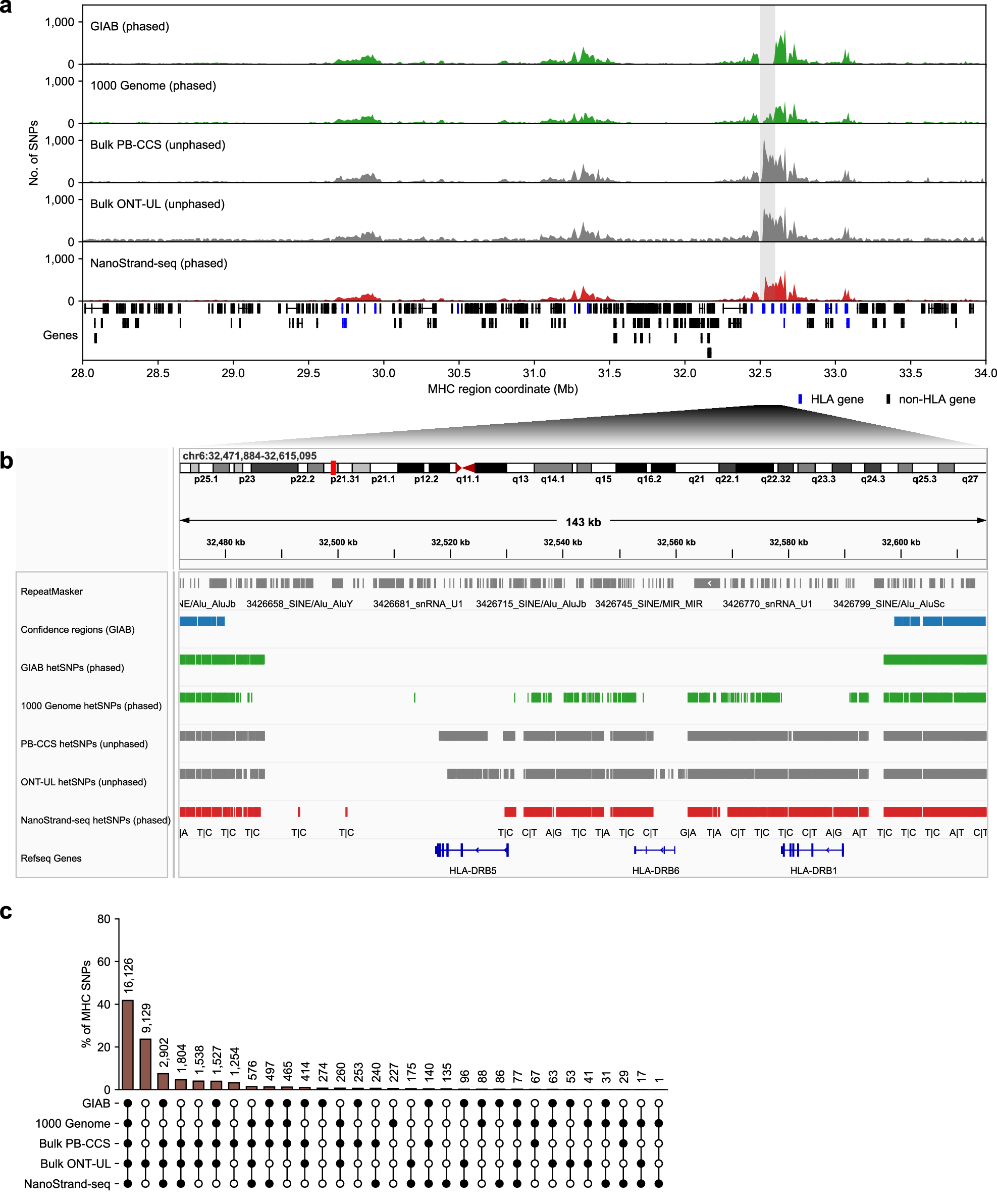 Fig. 4: The performance of NanoStrand-seq in calling SNPs within high-complexity genomic regions.