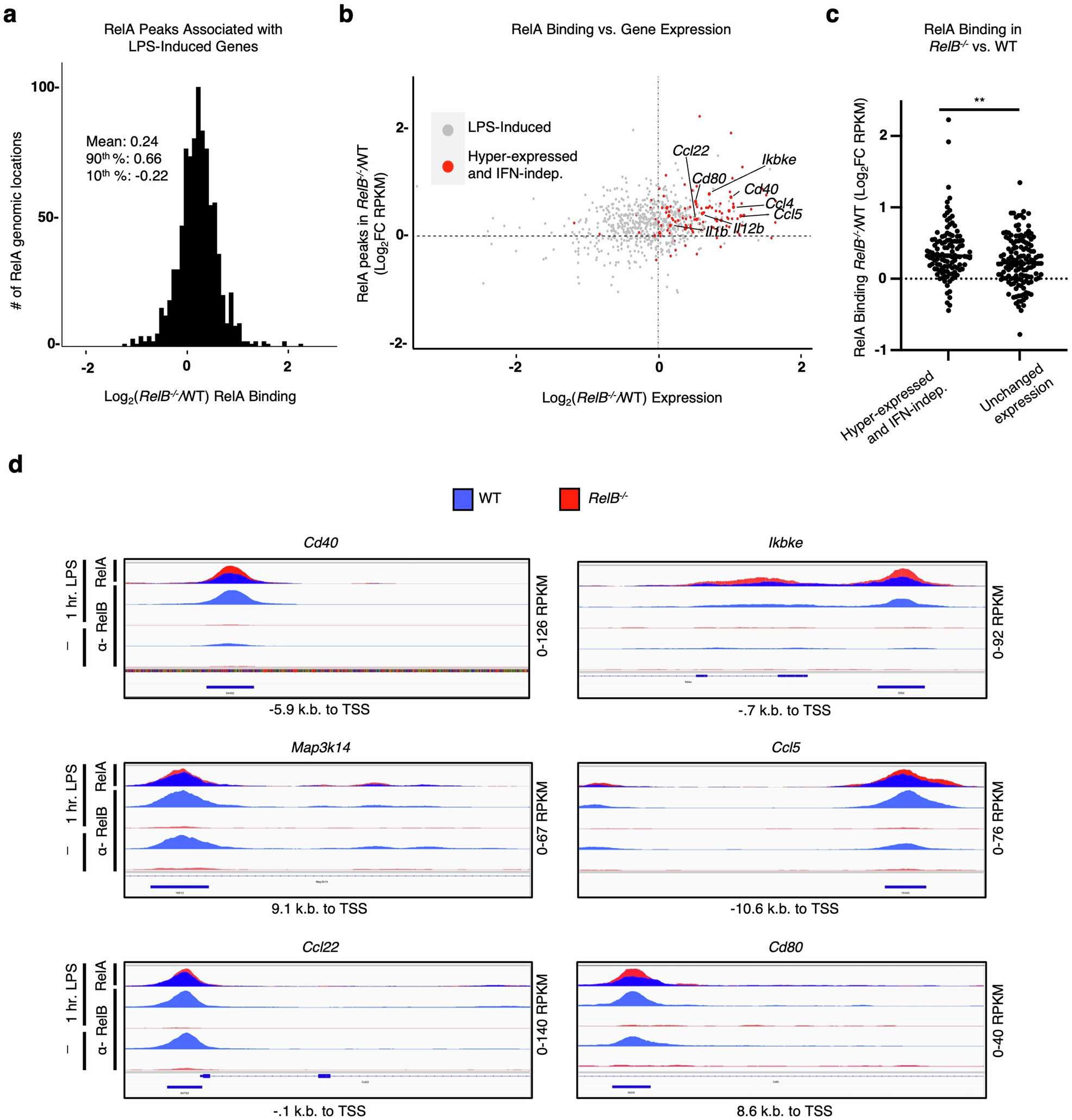 Fig. 3: Elevated RelA binding to promoter regions is correlated with elevated gene expression.