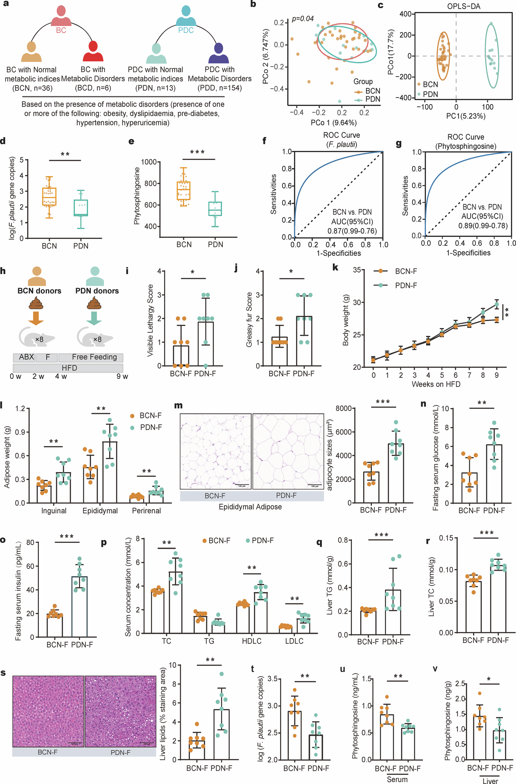 Fig. 4: PDC subjects presented lower F. plautii and phytosphingosine levels, even those with normal metabolic indices, and fecal transplantation of these subjects accelerated the development of metabolic disorders in mice.