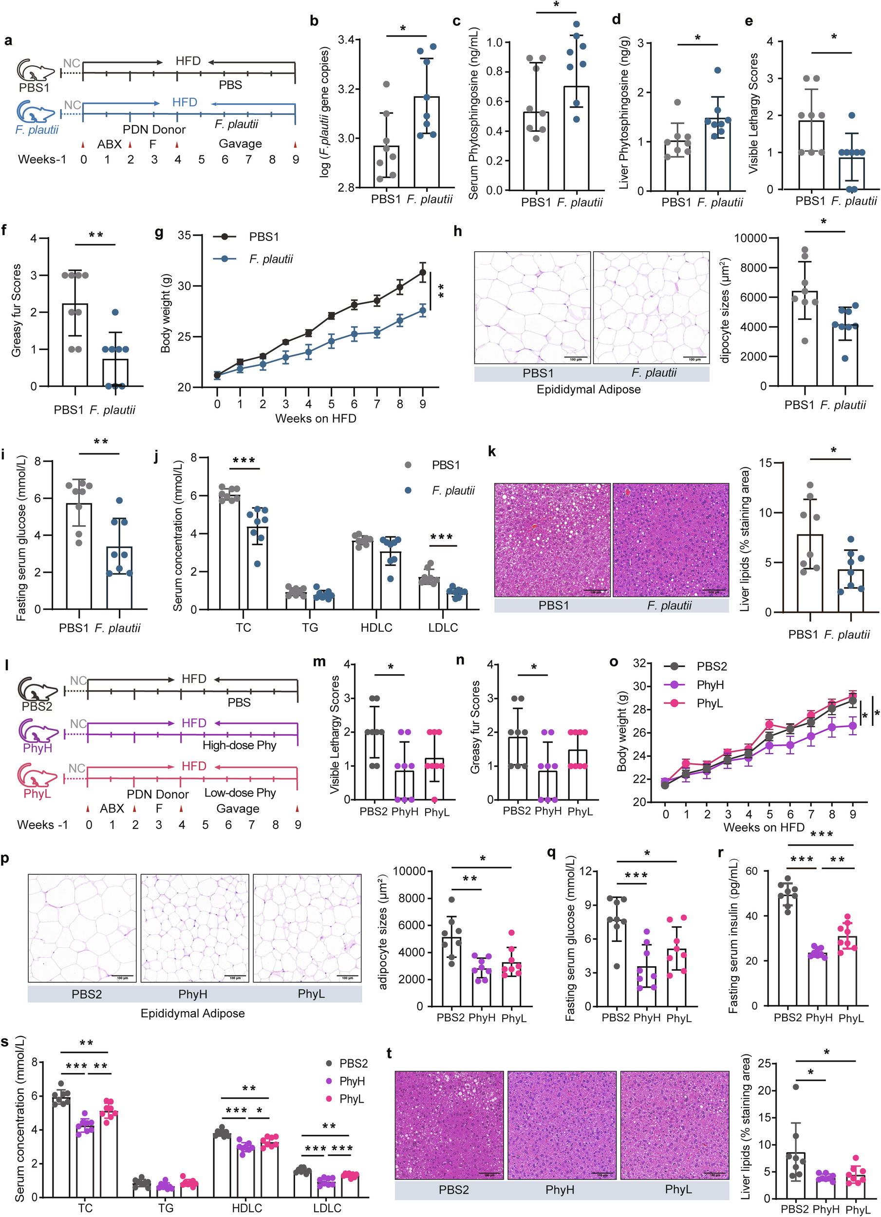Fig. 5: F. plautii and phytosphingosine ameliorate metabolic disorders induced by HFD and fecal transplantation in PDC subjects with normal metabolic indices.