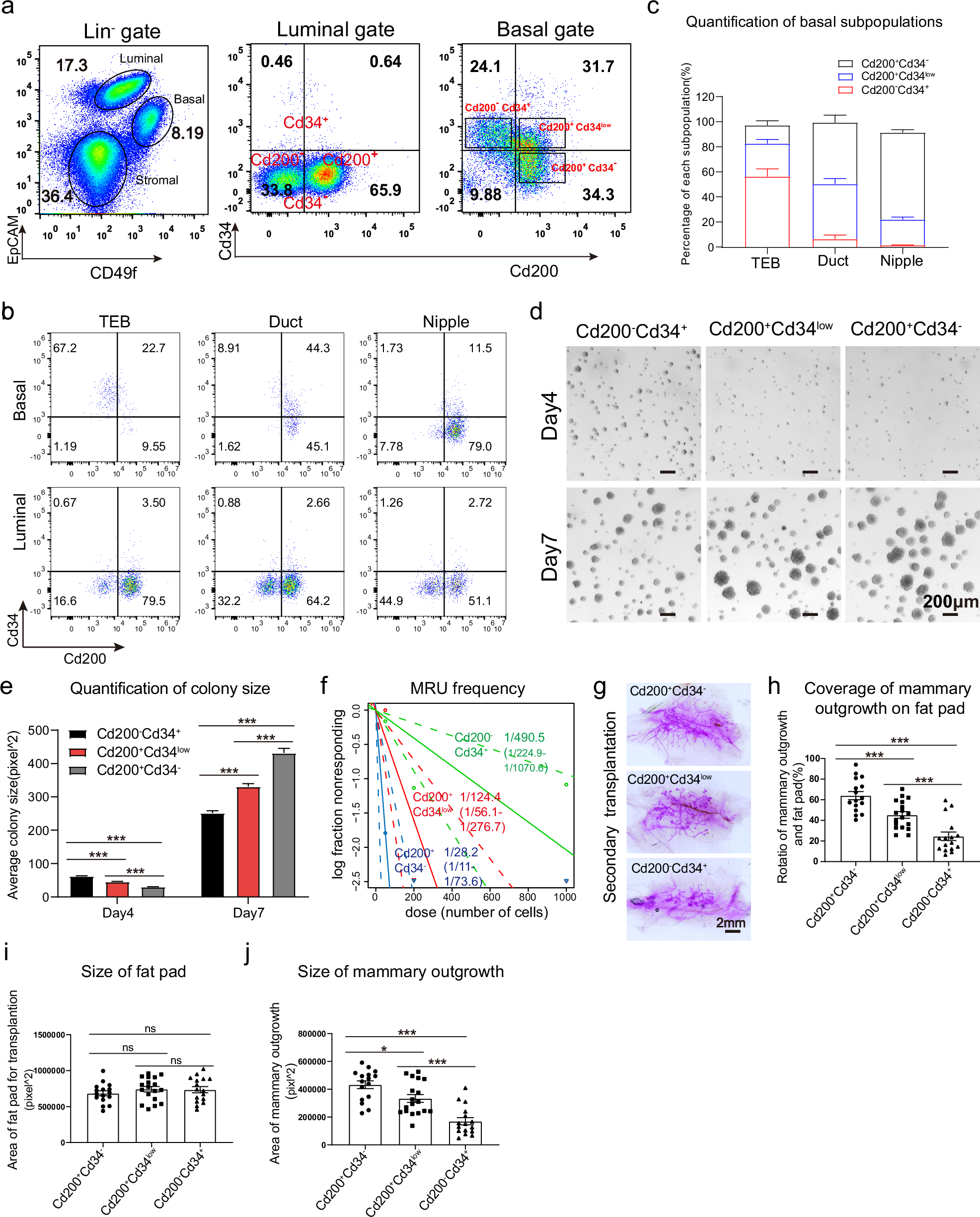 Fig. 2: CD200 and CD34 identify three distinct basal subpopulations.