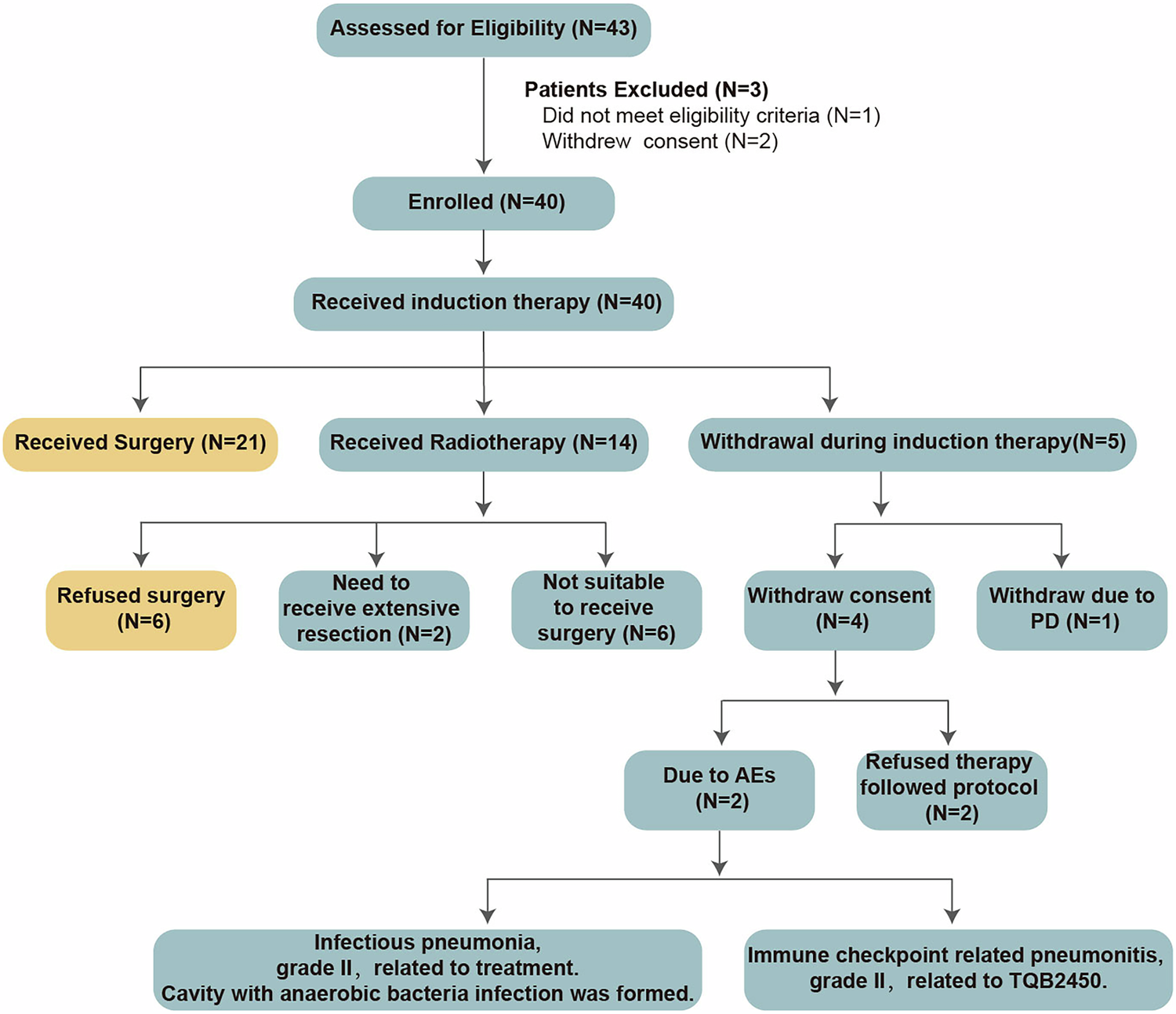 Fig. 1: Patient flow diagram for LungMate-005.