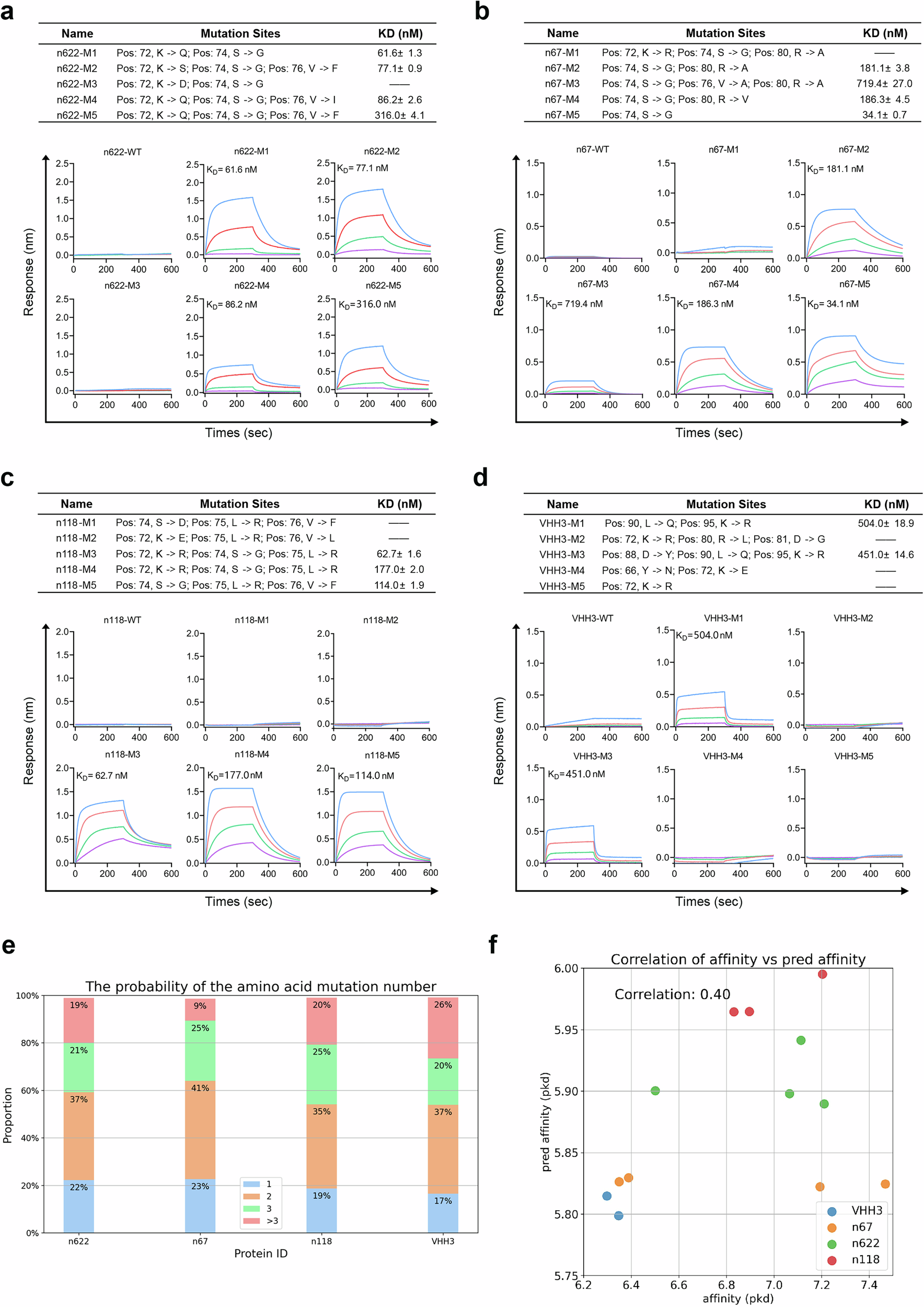 Fig. 3: Endowing Protein A binding capability to sdAbs.