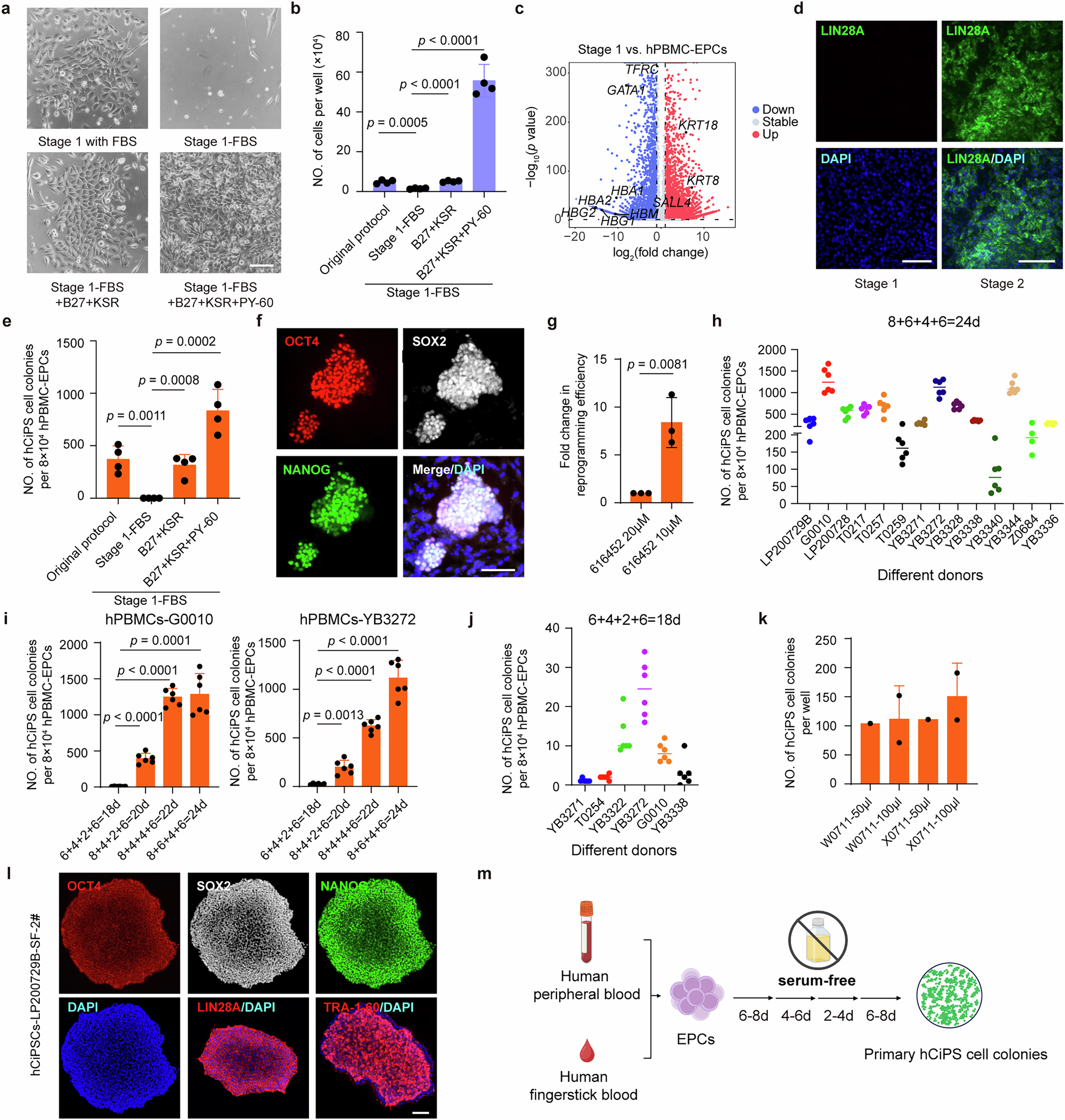 Fig. 1: Establishment of a clinically-compliant reprogramming protocol for blood cells.