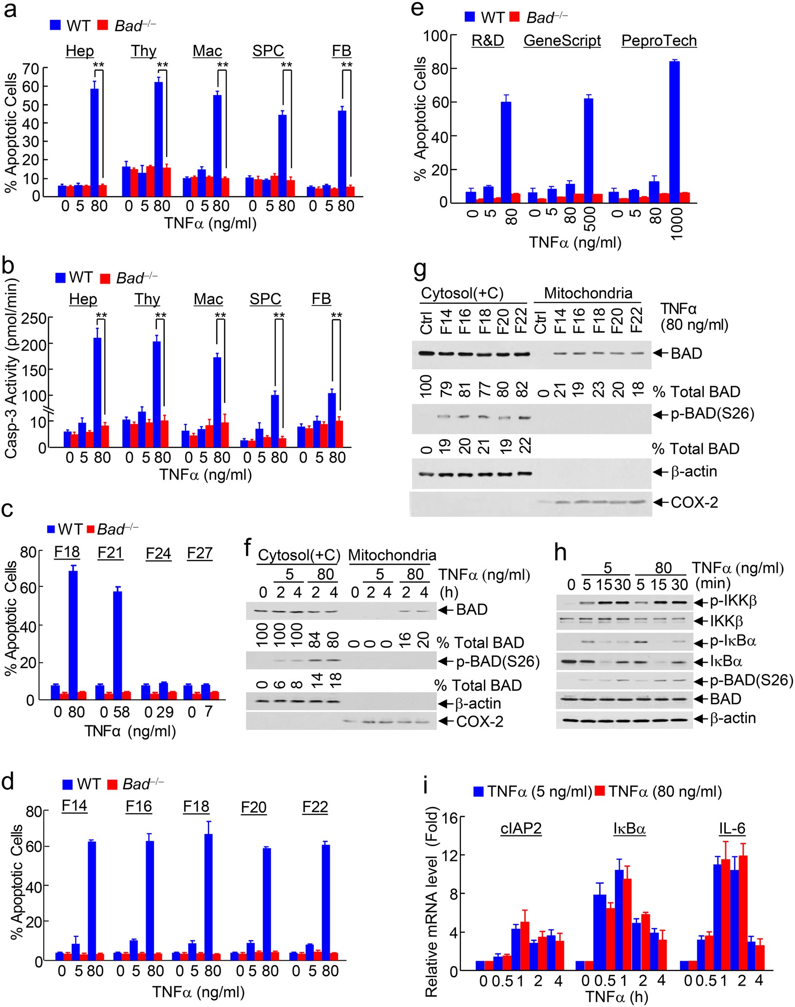 The BH3-only protein BAD mediates TNFα cytotoxicity despite concurrent  activation of IKK and NF-κB in septic shock | Cell Research