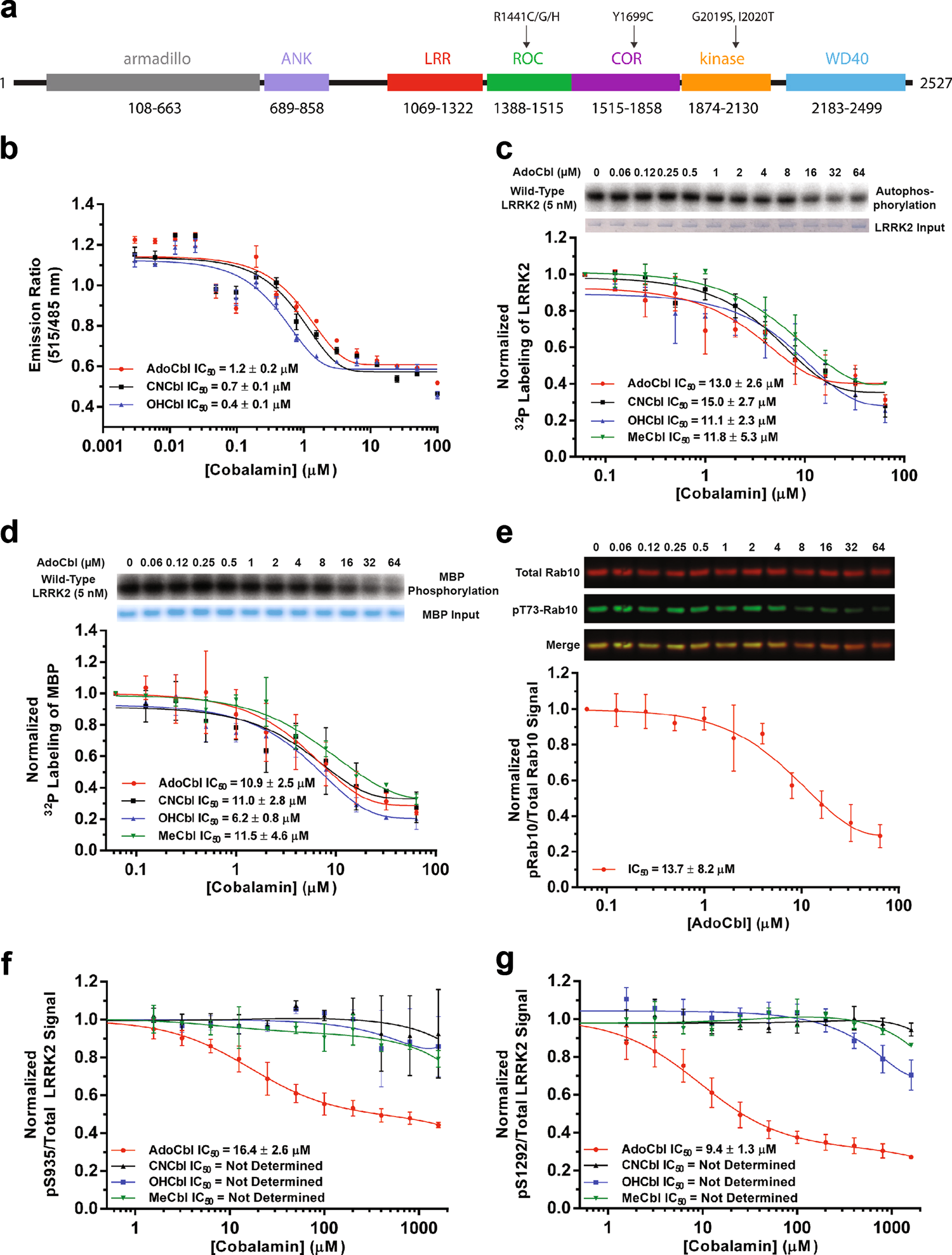 Vitamin B 12 Modulates Parkinsons Disease Lrrk2 Kinase