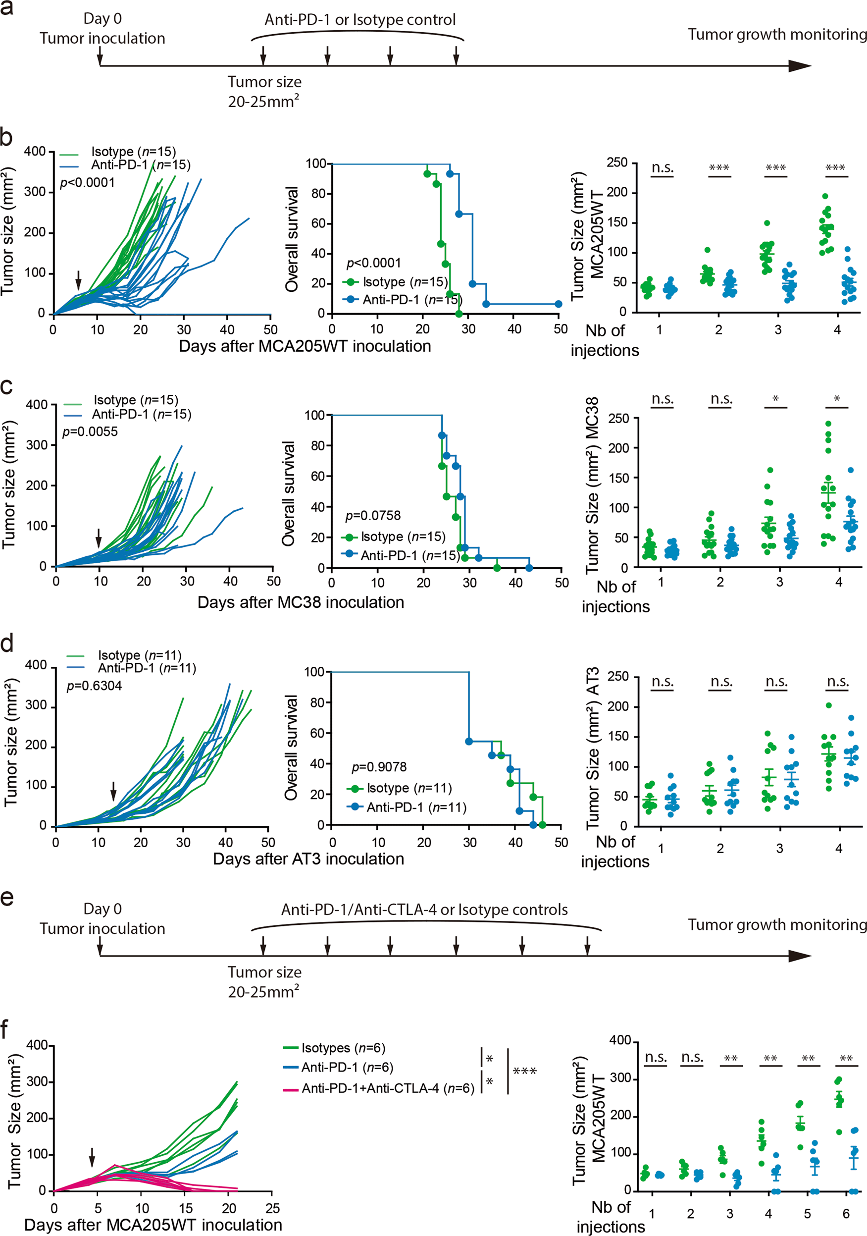 Sustained Type I interferon signaling as a mechanism of resistance to PD-1  blockade | Cell Research